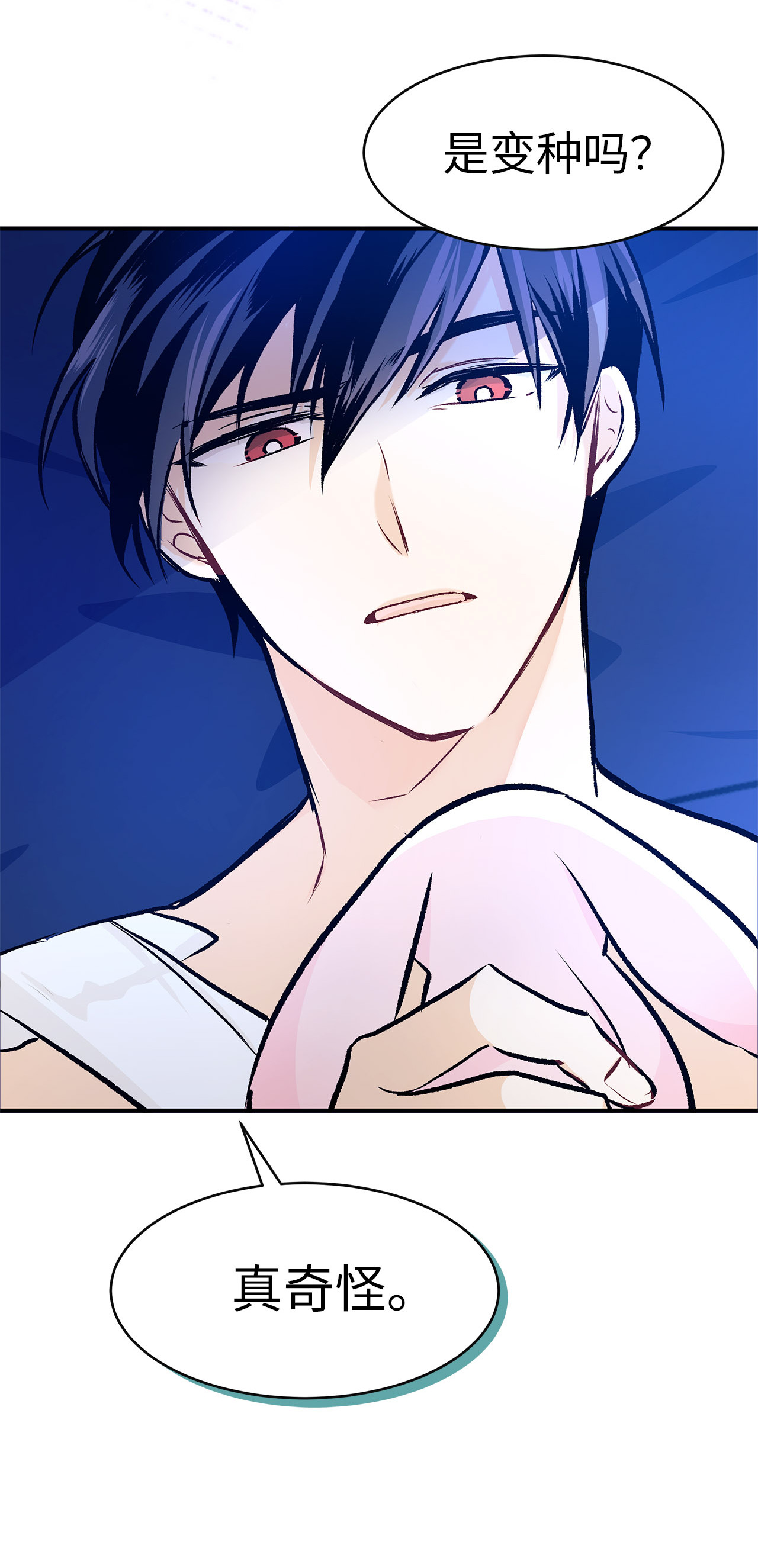 兔子与黑豹的共生关系04 受伤的黑豹