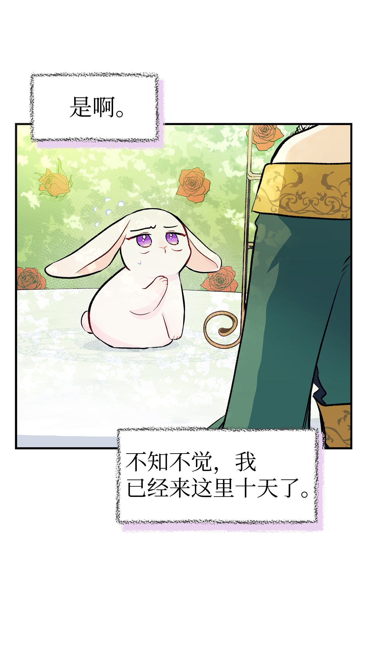 兔子与黑豹的共生关系05 合口味的兔子