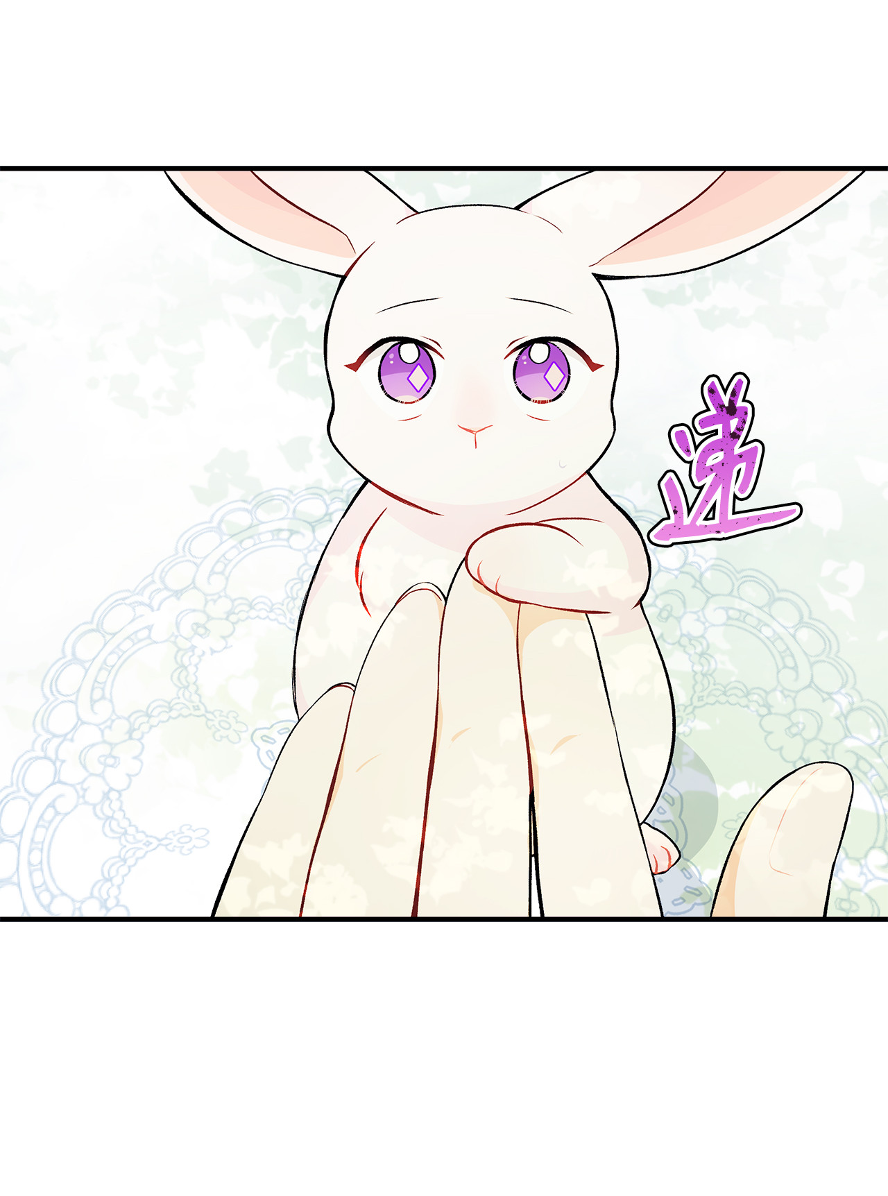 兔子与黑豹的共生关系05 合口味的兔子