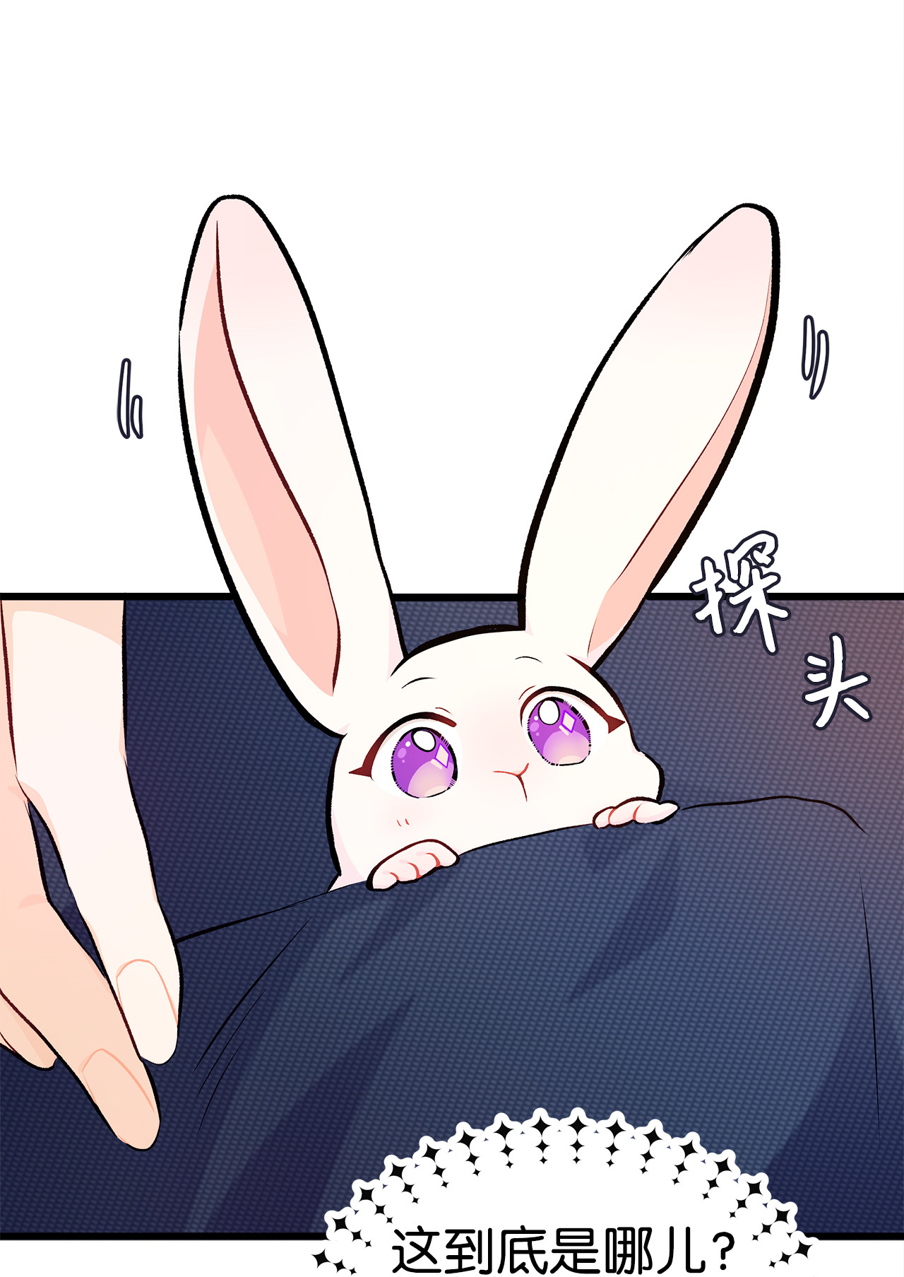 兔子与黑豹的共生关系06 兔界拳王