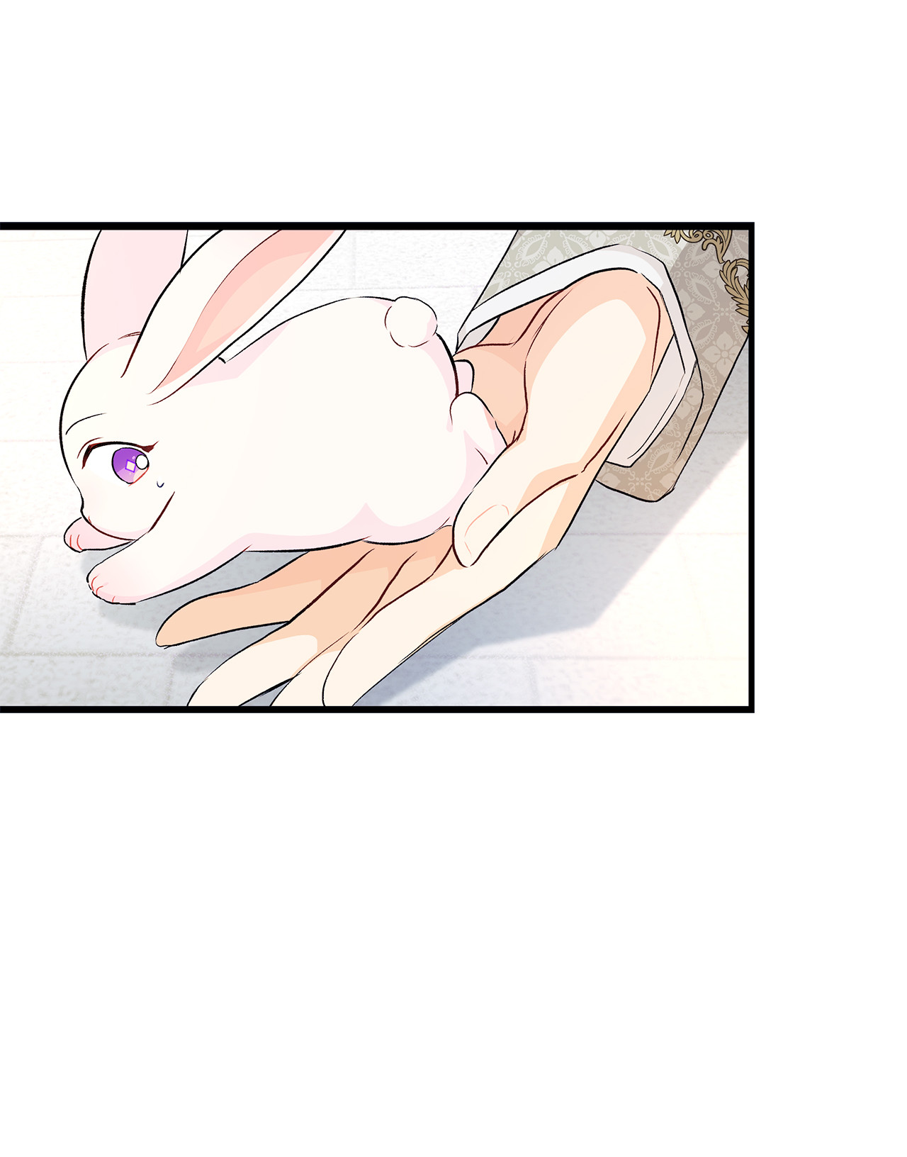 兔子与黑豹的共生关系09 放开我的兔子