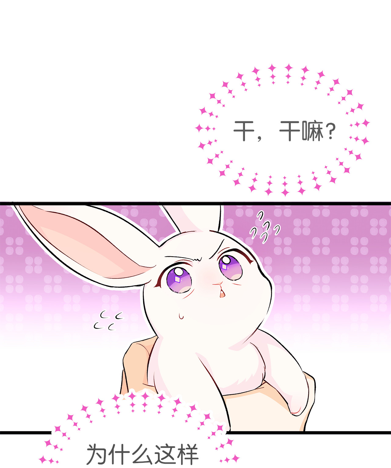 兔子与黑豹的共生关系09 放开我的兔子