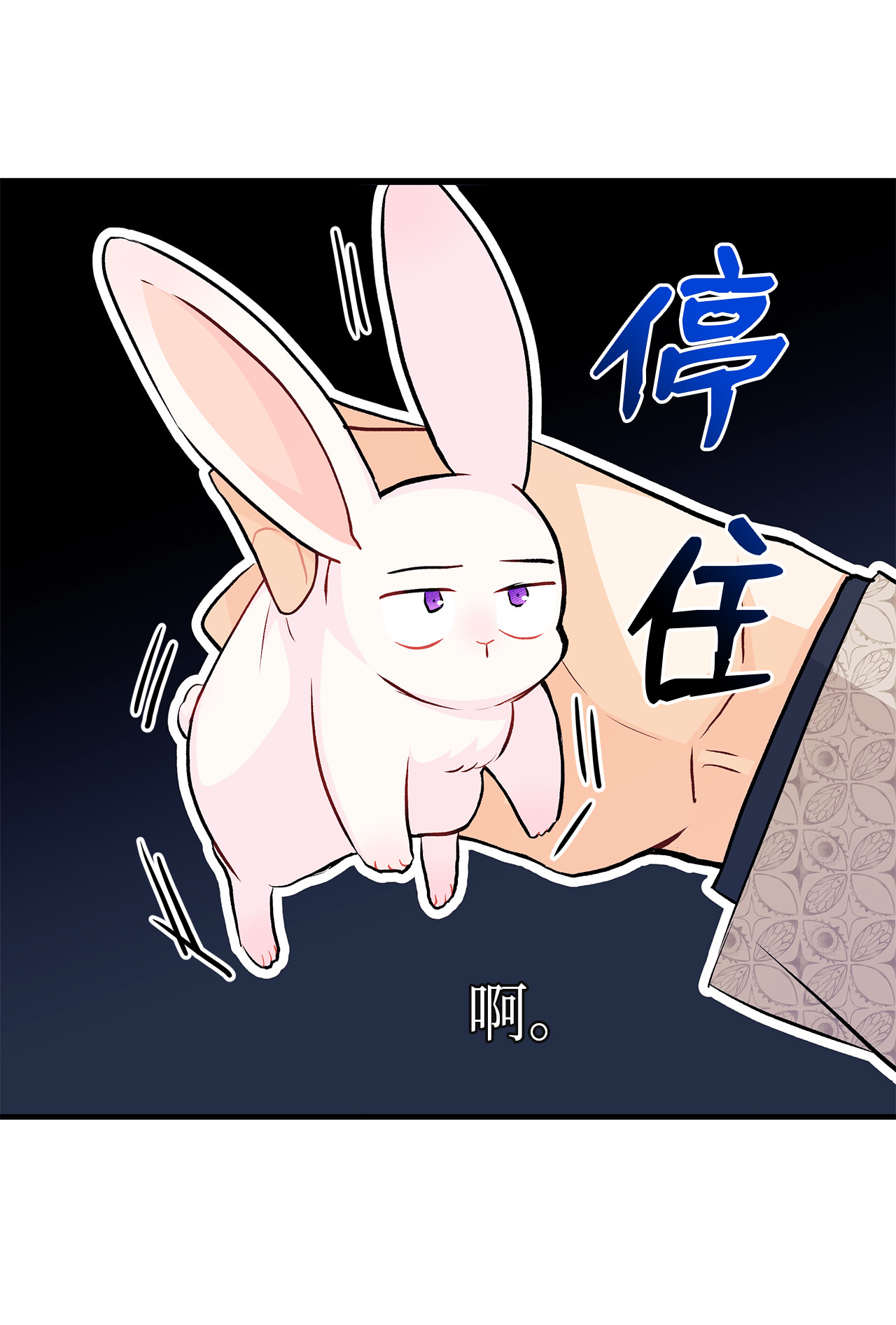 兔子与黑豹的共生关系09 放开我的兔子