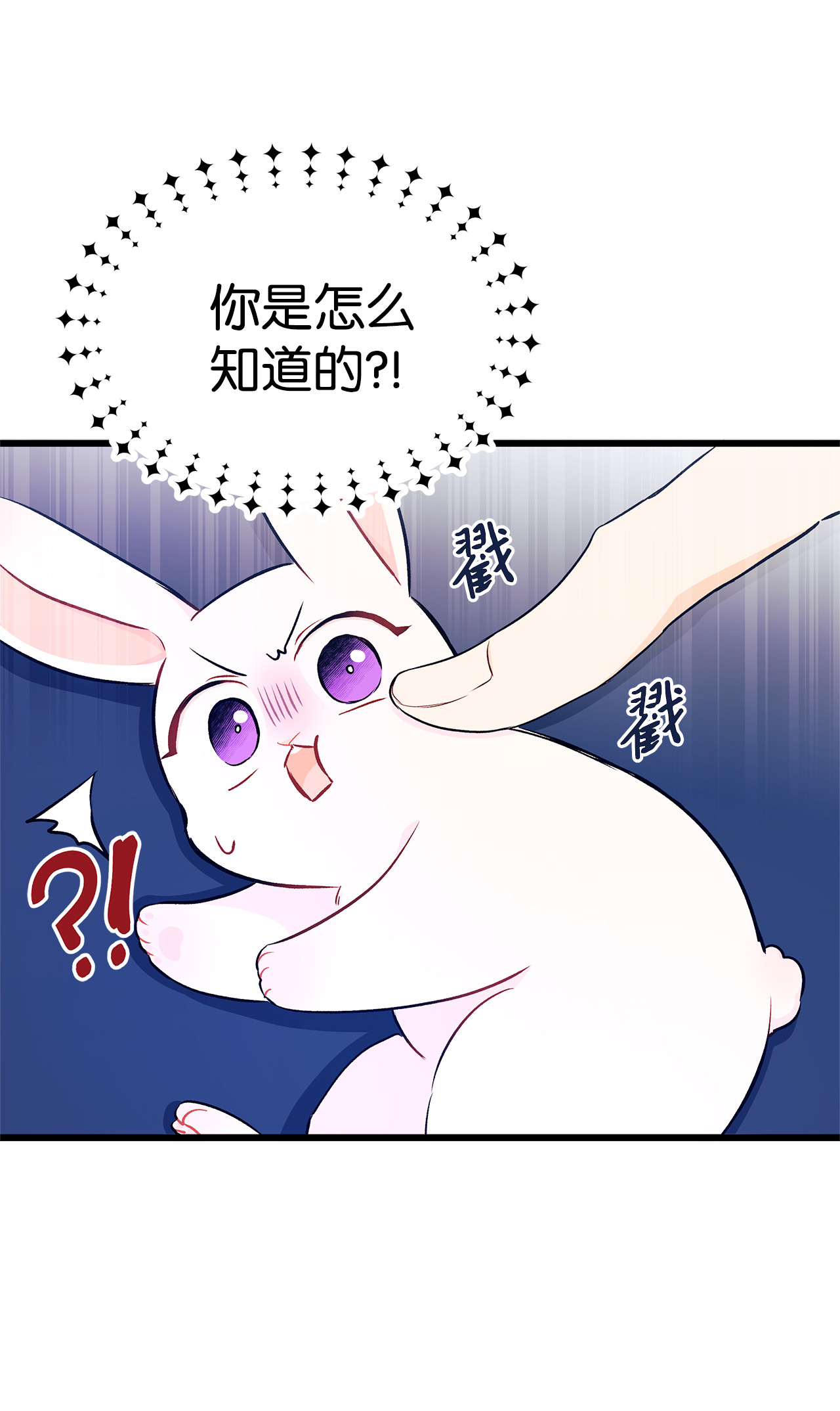 兔子与黑豹的共生关系10 兔兔大变活人！