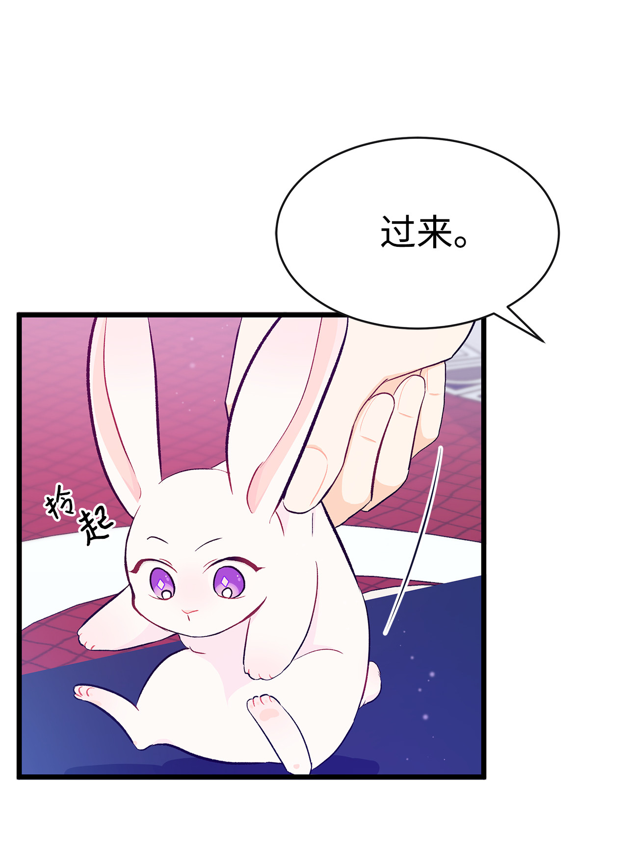 兔子与黑豹的共生关系10 兔兔大变活人！