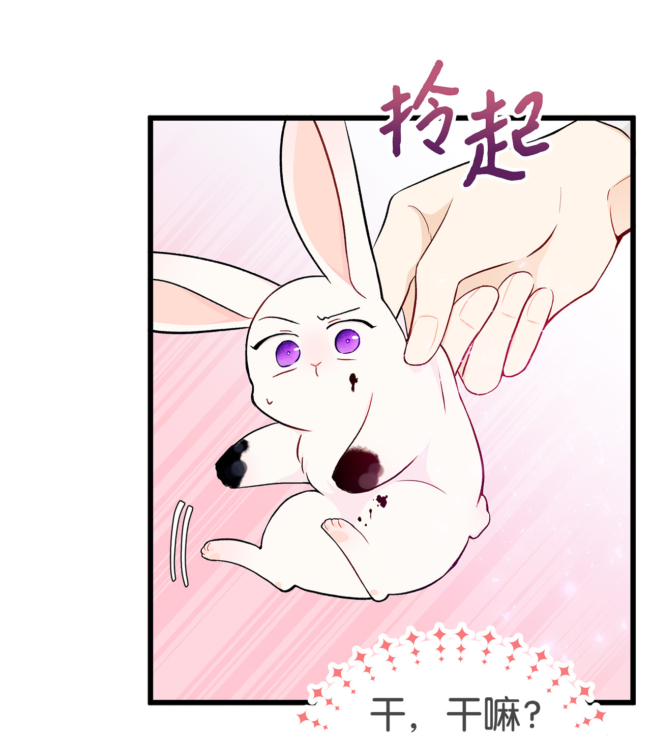 兔子与黑豹的共生关系10 兔兔大变活人！