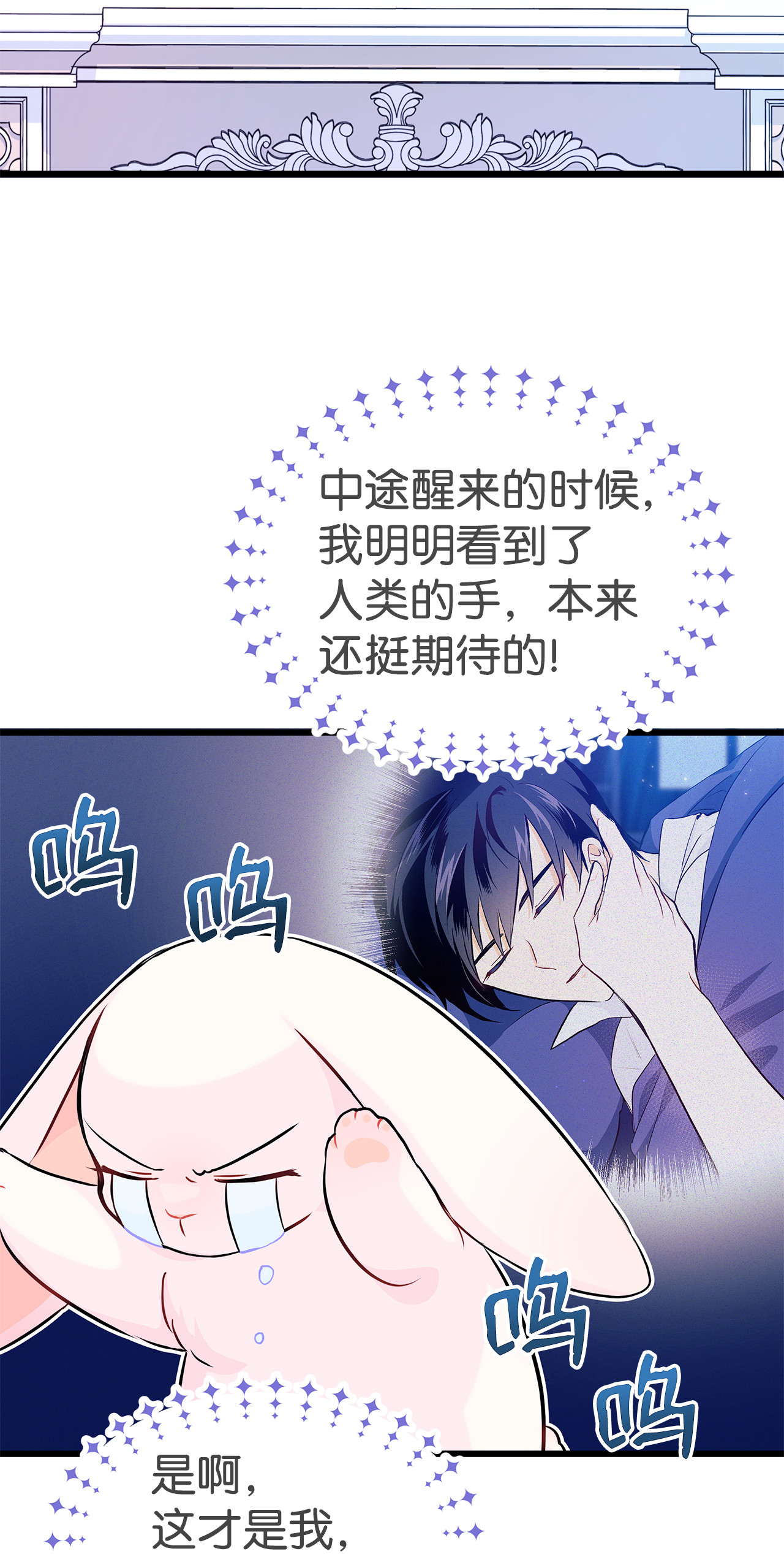 兔子与黑豹的共生关系11 兔兔小剧场