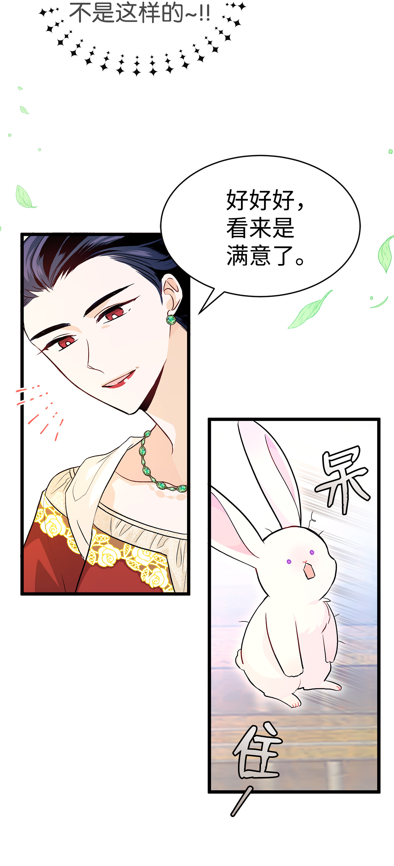 兔子与黑豹的共生关系11 兔兔小剧场