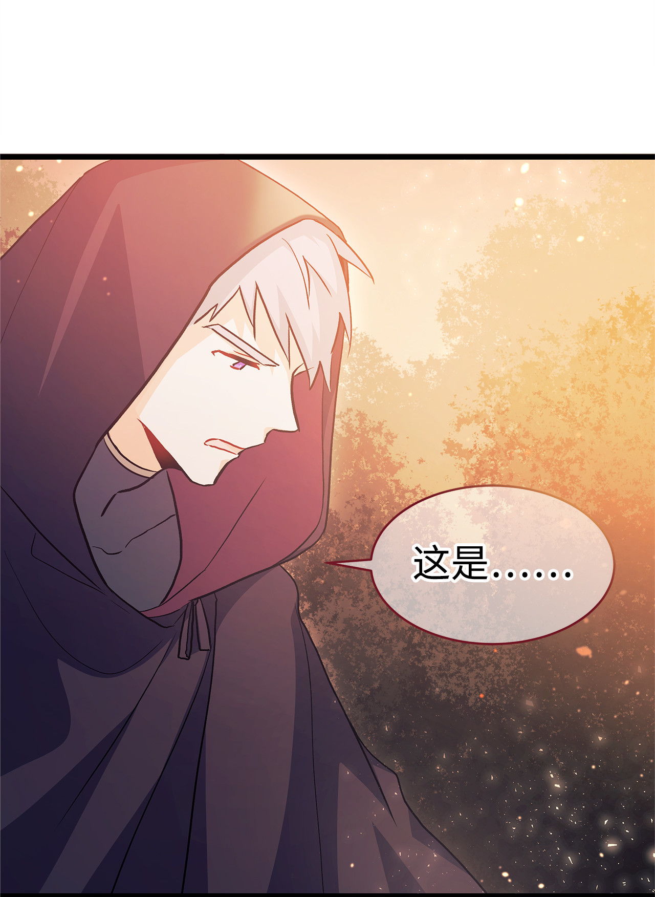 兔子与黑豹的共生关系11 兔兔小剧场