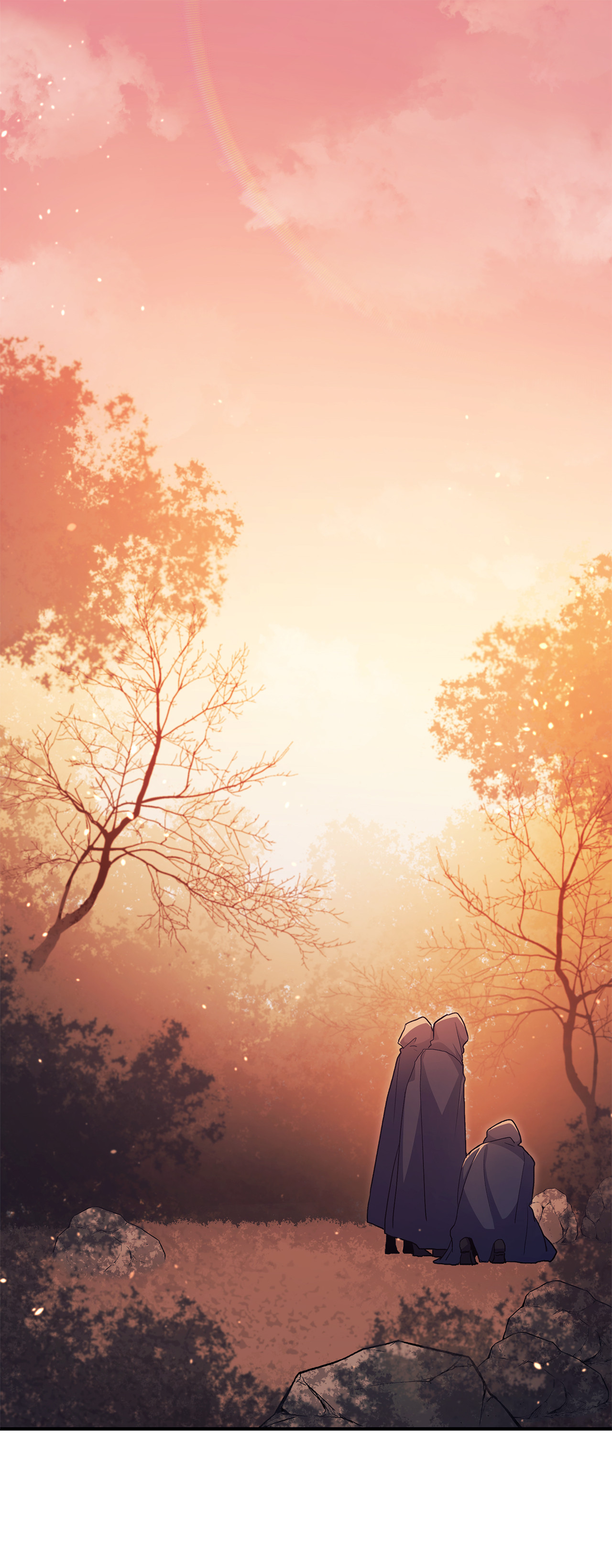 兔子与黑豹的共生关系12 兔兔的身世