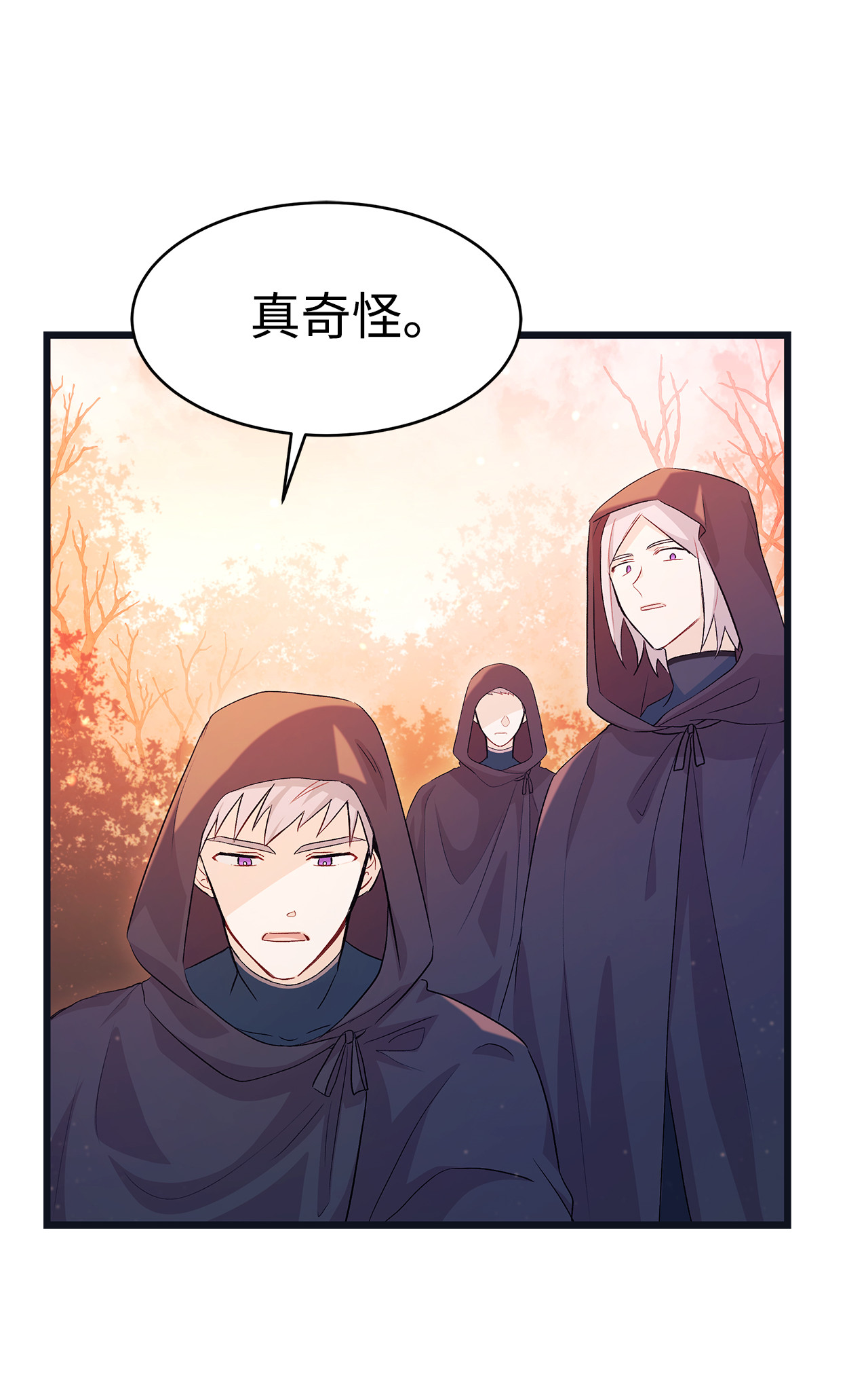 兔子与黑豹的共生关系12 兔兔的身世