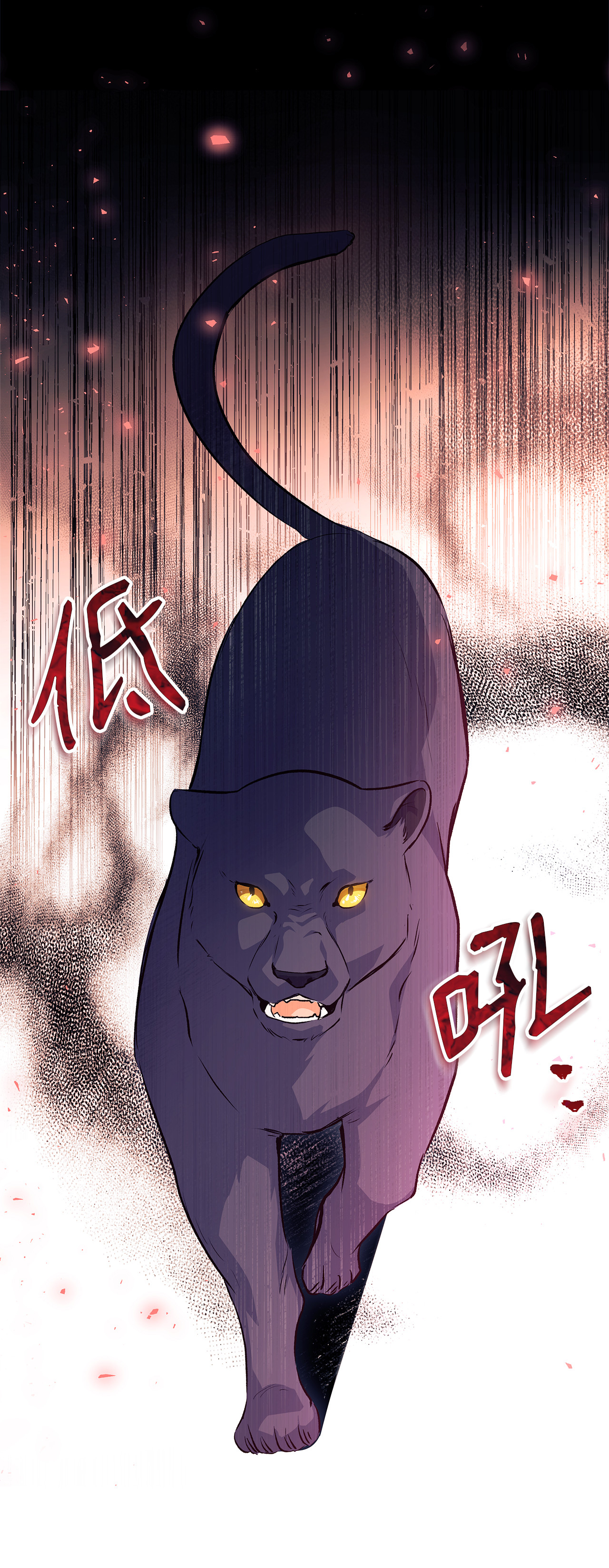 兔子与黑豹的共生关系12 兔兔的身世