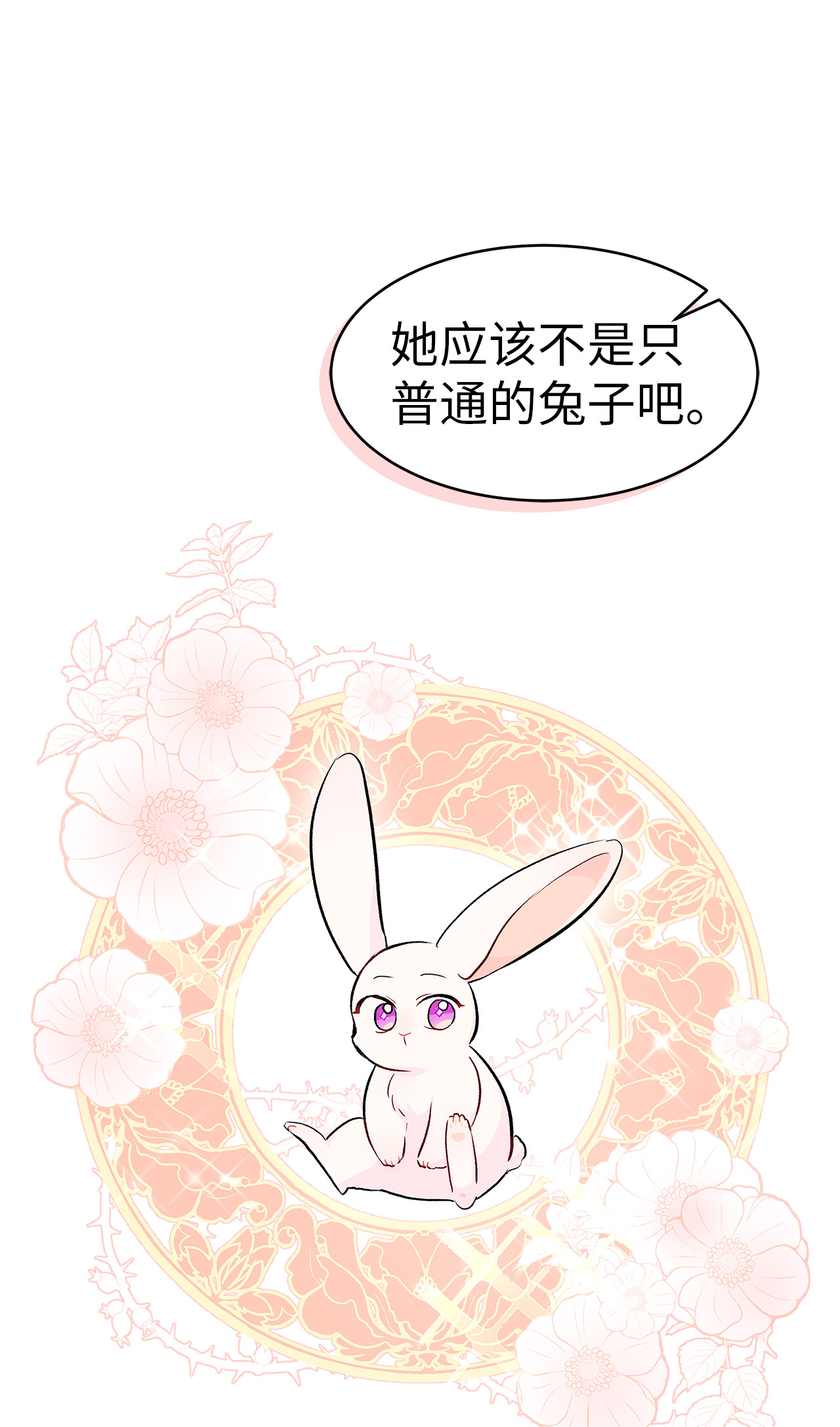 兔子与黑豹的共生关系12 兔兔的身世