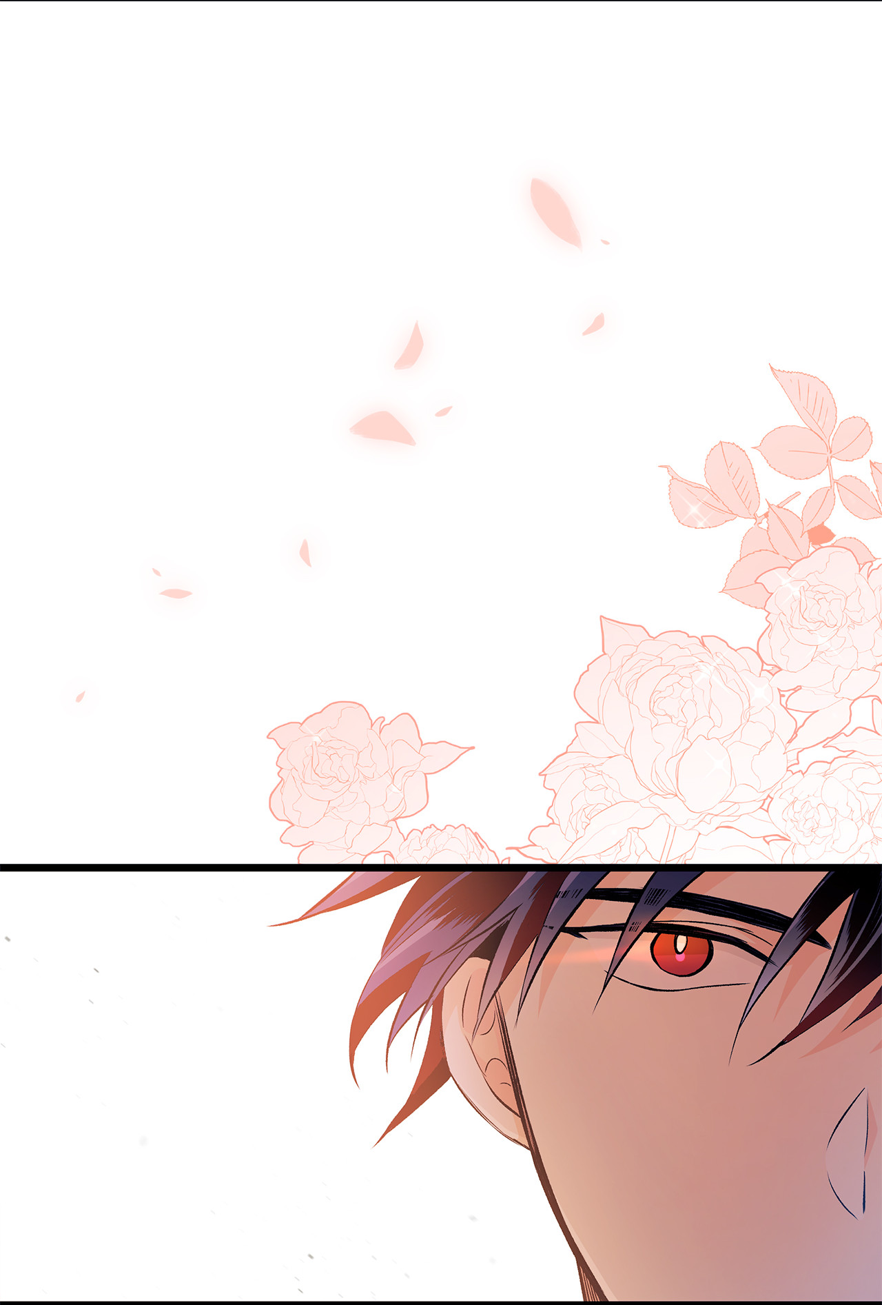 兔子与黑豹的共生关系12 兔兔的身世