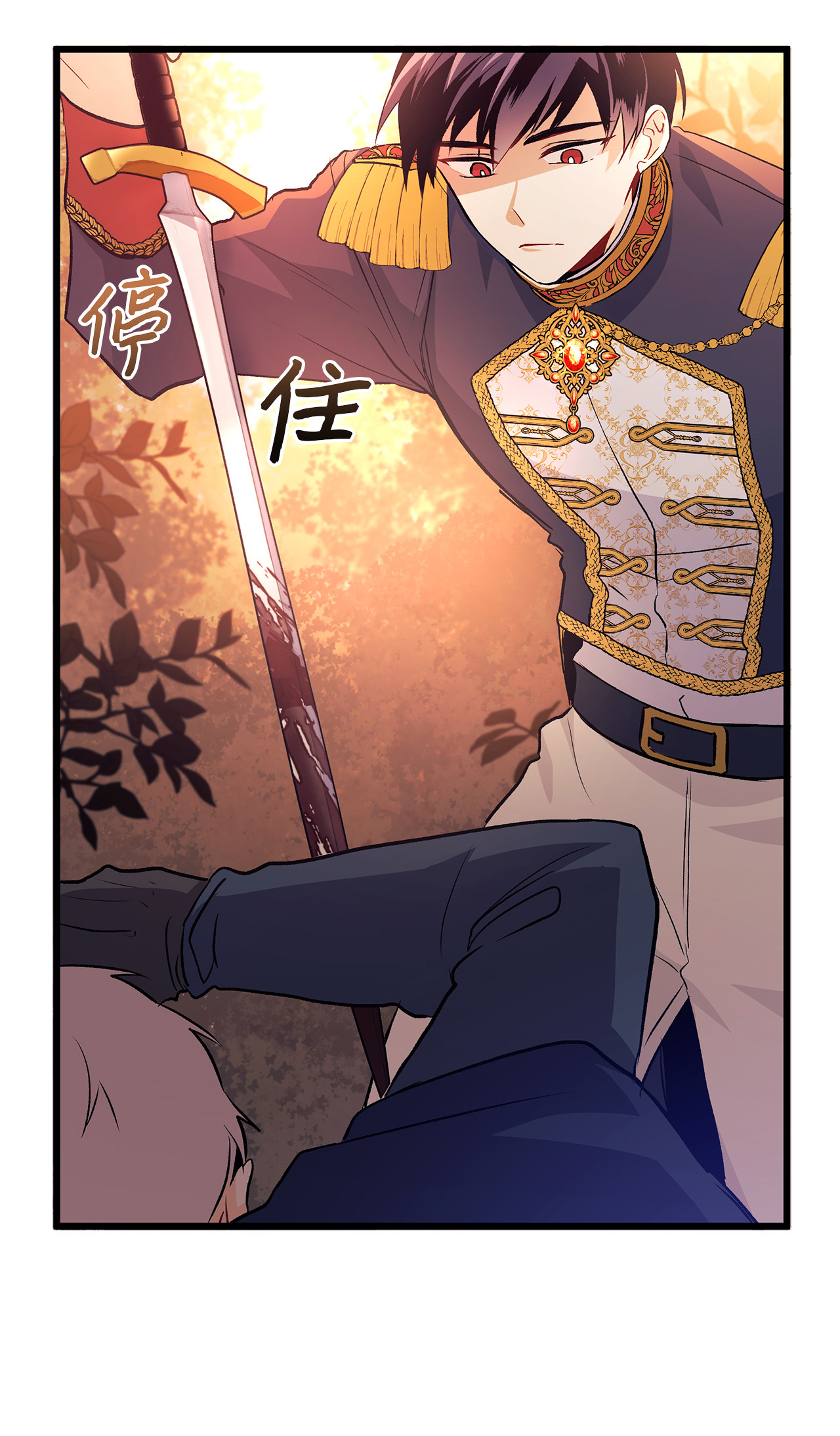 兔子与黑豹的共生关系12 兔兔的身世