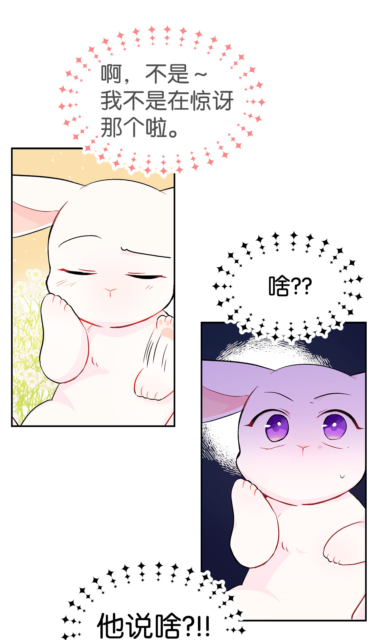 兔子与黑豹的共生关系15 只能哭给我看