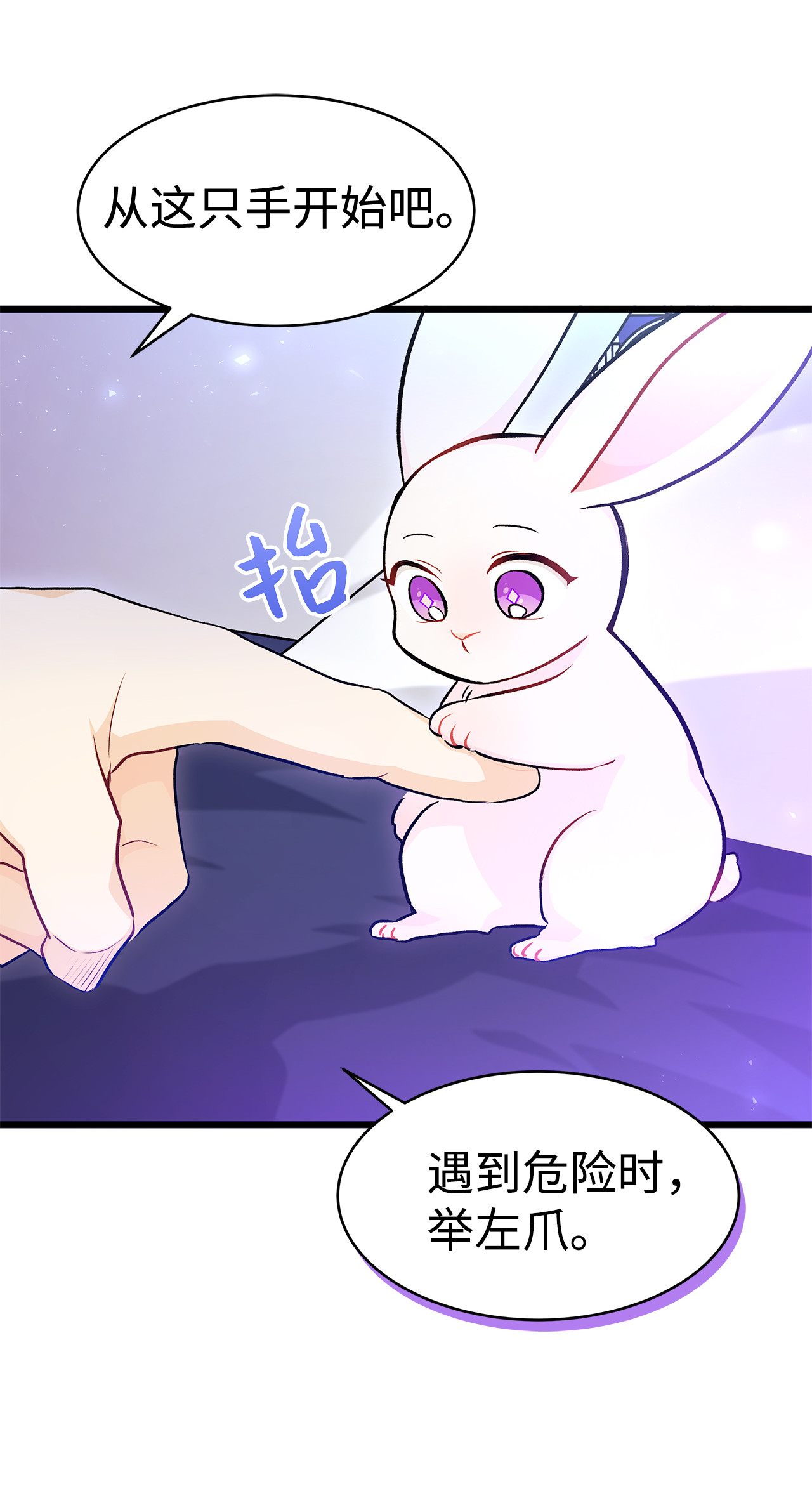 兔子与黑豹的共生关系16 兔与豹的秘密暗号