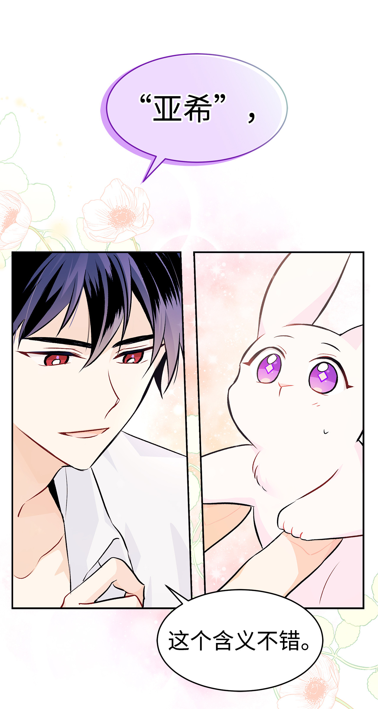 兔子与黑豹的共生关系16 兔与豹的秘密暗号