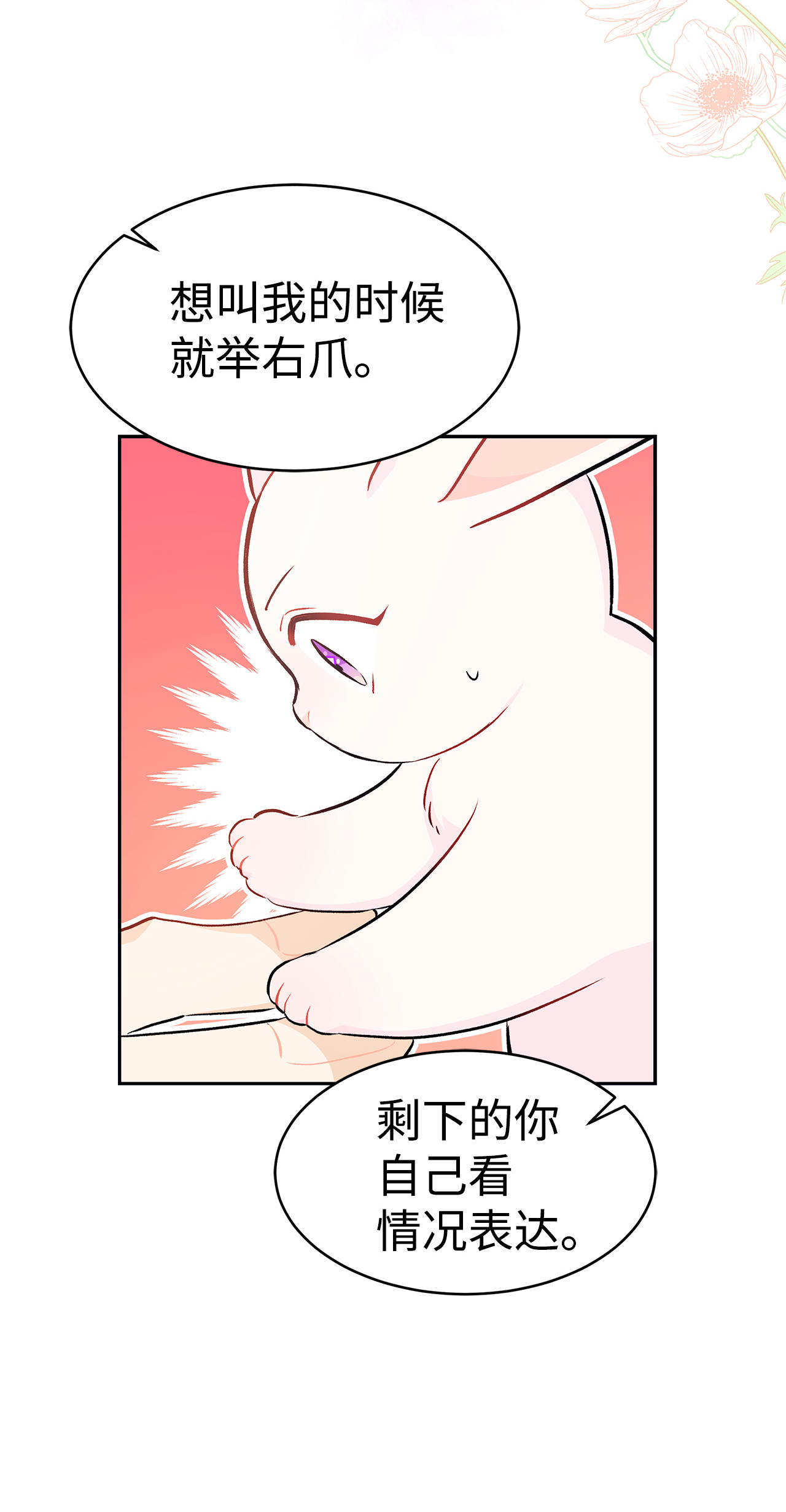 兔子与黑豹的共生关系16 兔与豹的秘密暗号