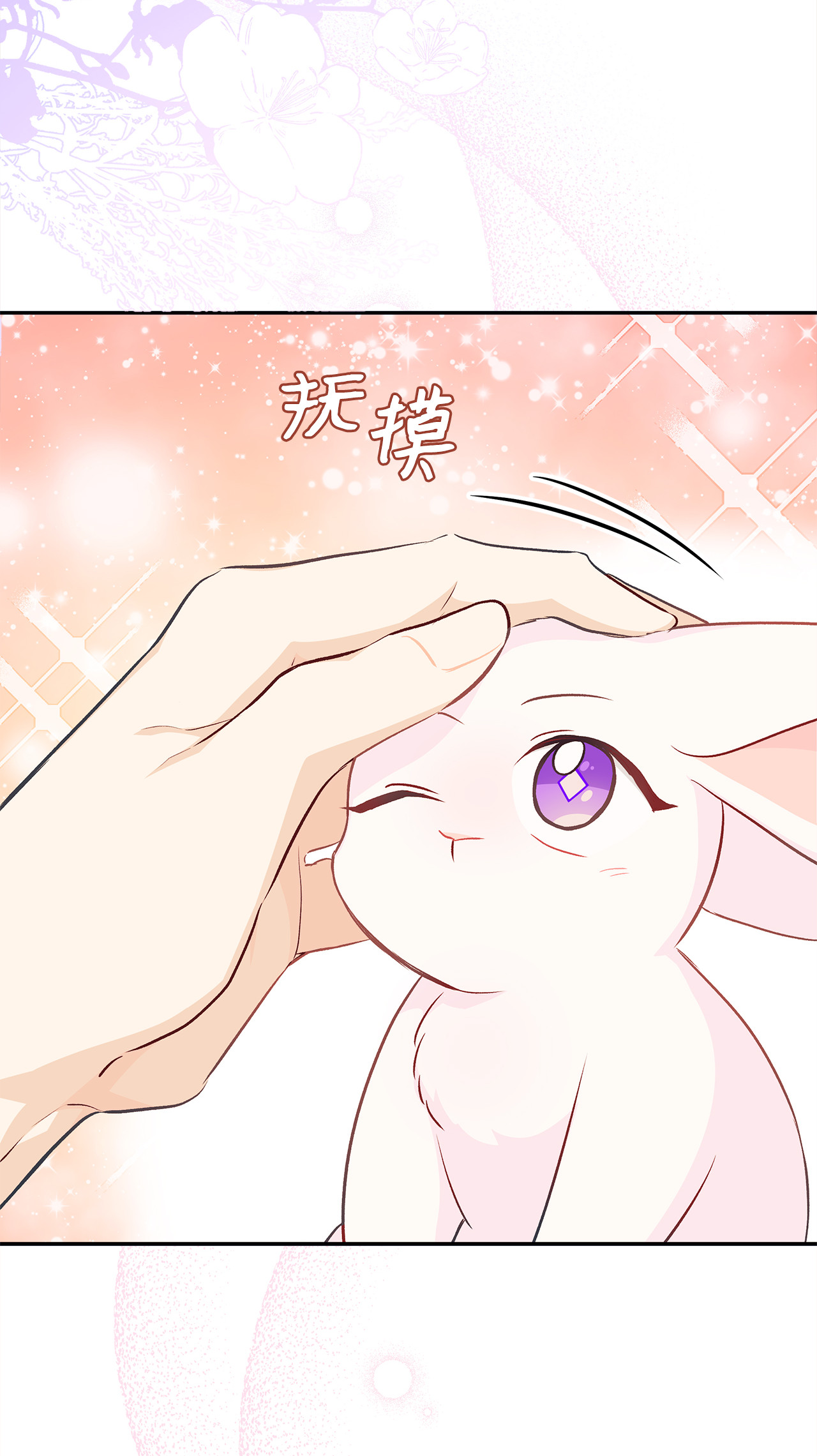 兔子与黑豹的共生关系16 兔与豹的秘密暗号