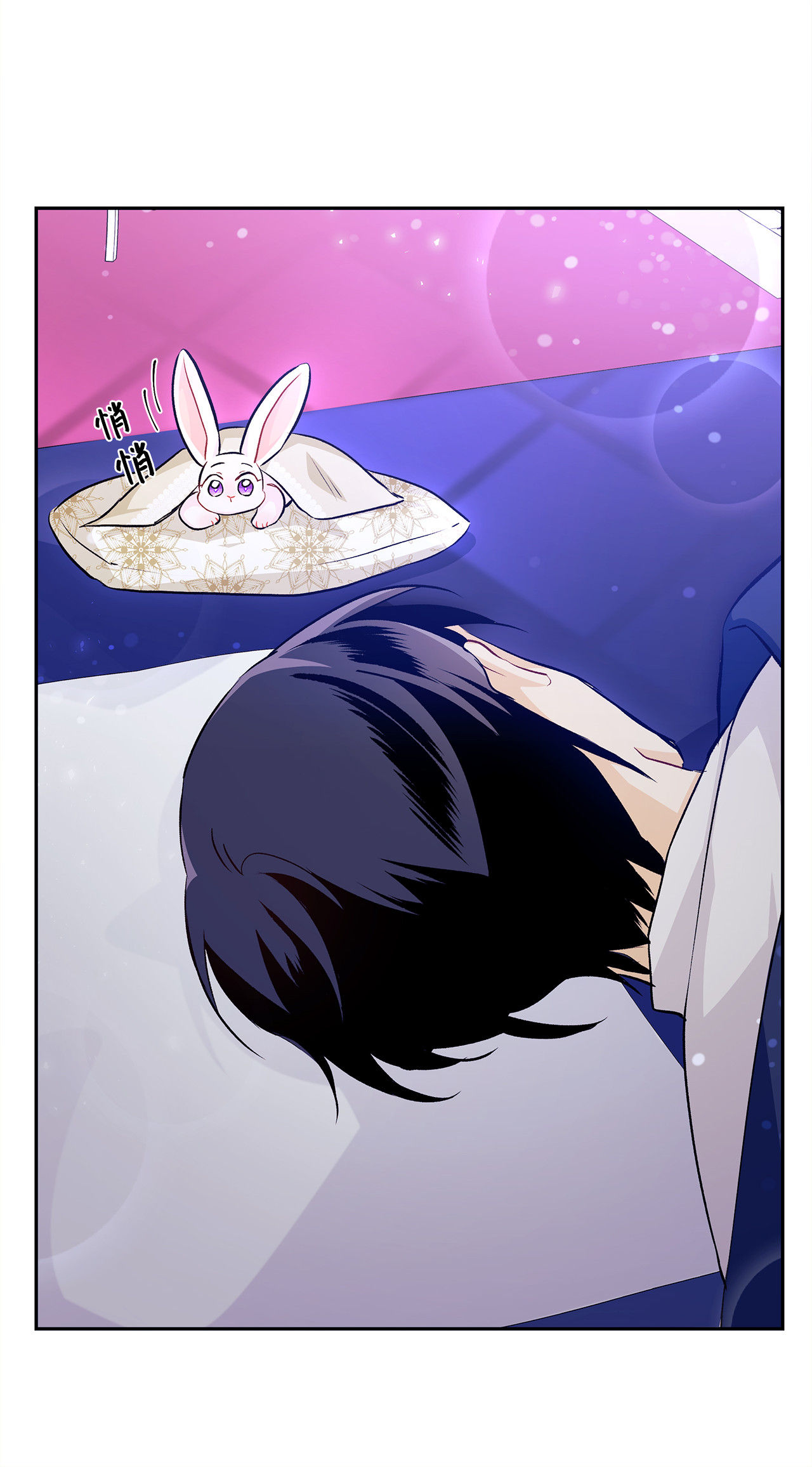 兔子与黑豹的共生关系16 兔与豹的秘密暗号