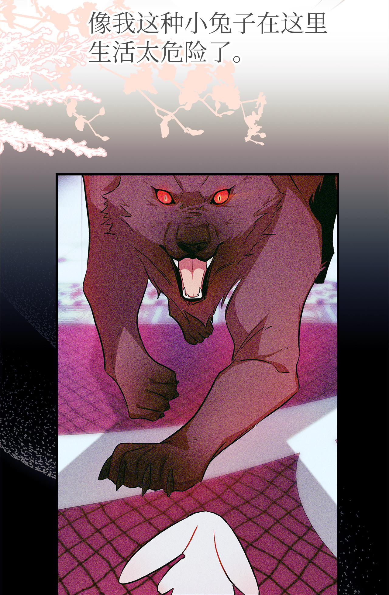 兔子与黑豹的共生关系16 兔与豹的秘密暗号