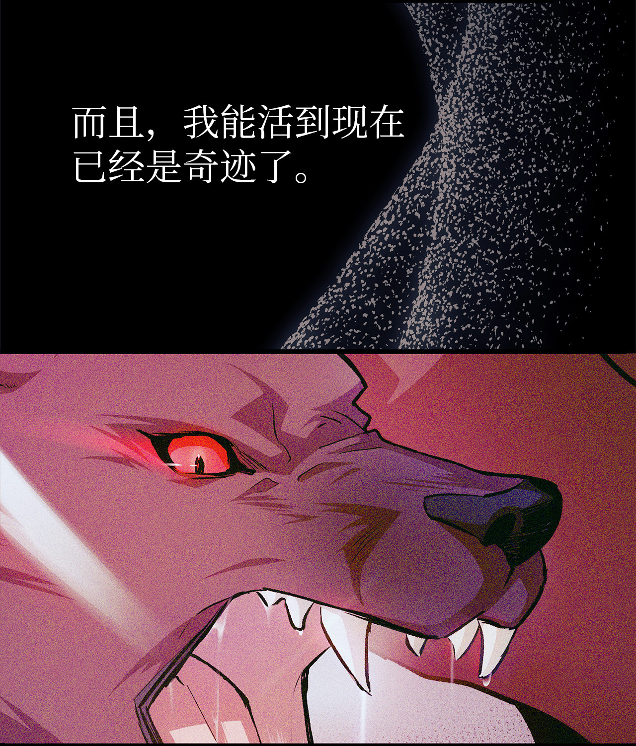 兔子与黑豹的共生关系16 兔与豹的秘密暗号