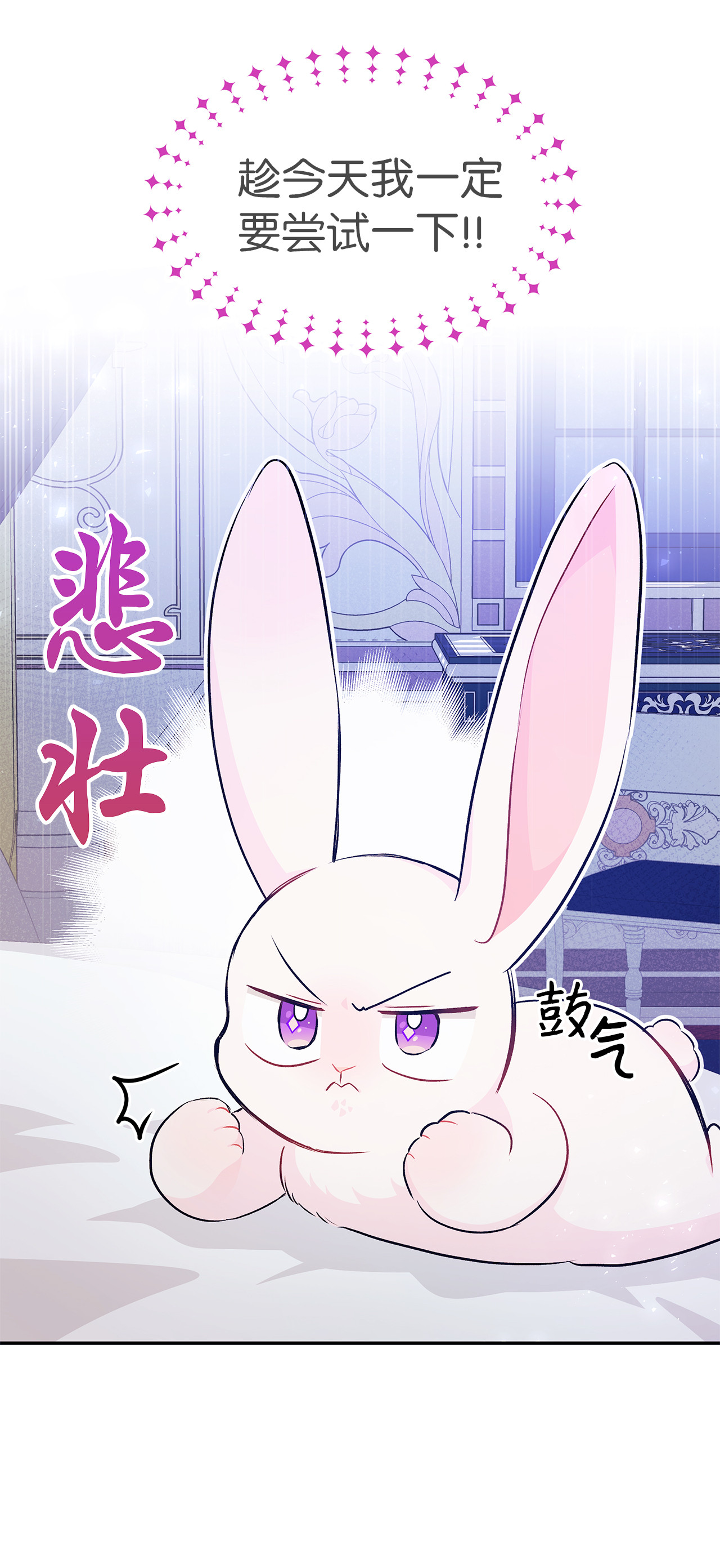 兔子与黑豹的共生关系16 兔与豹的秘密暗号