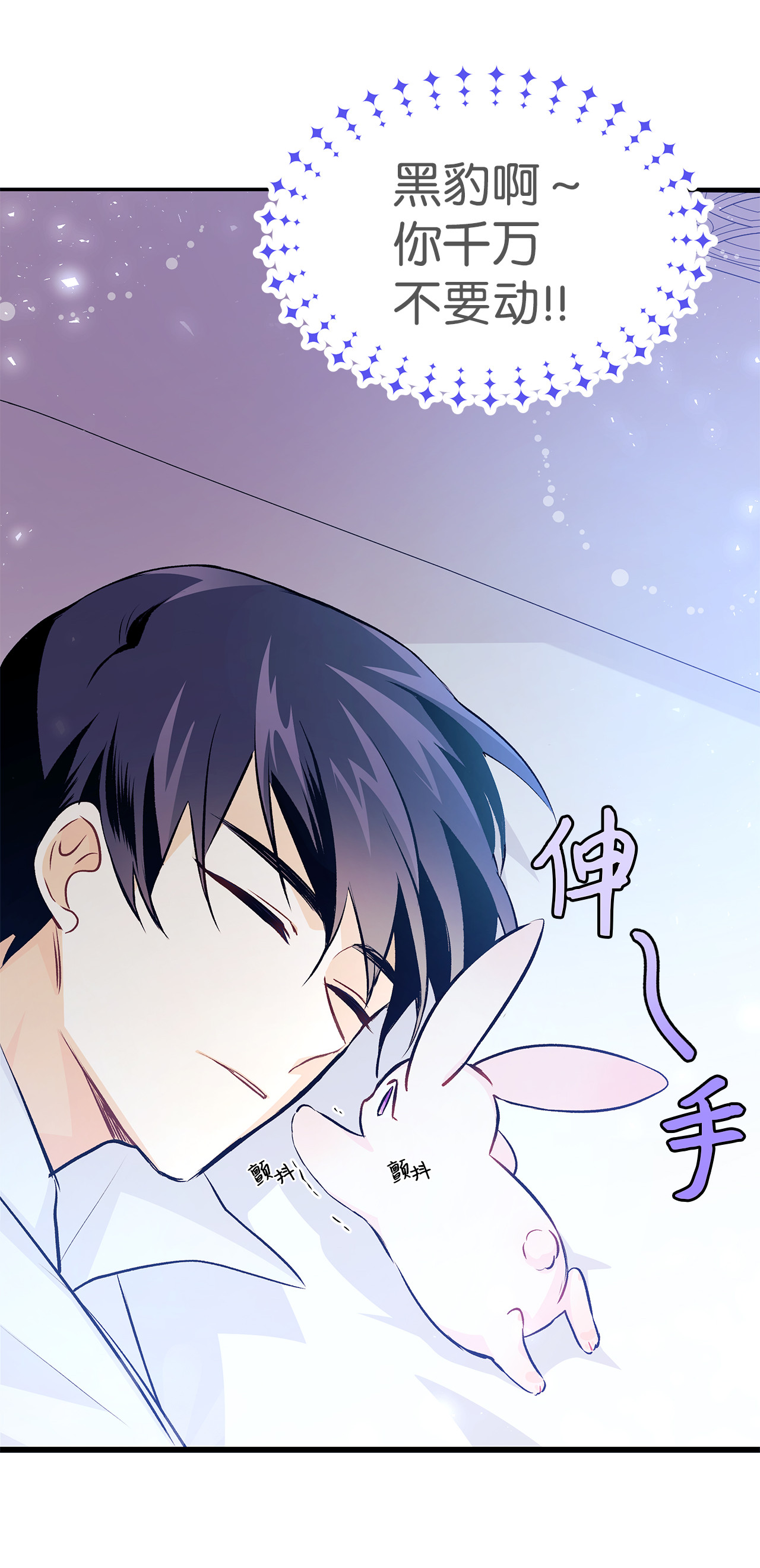 兔子与黑豹的共生关系16 兔与豹的秘密暗号