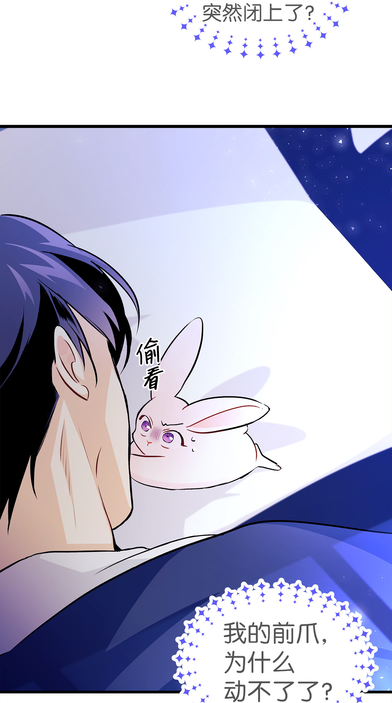 兔子与黑豹的共生关系16 兔与豹的秘密暗号