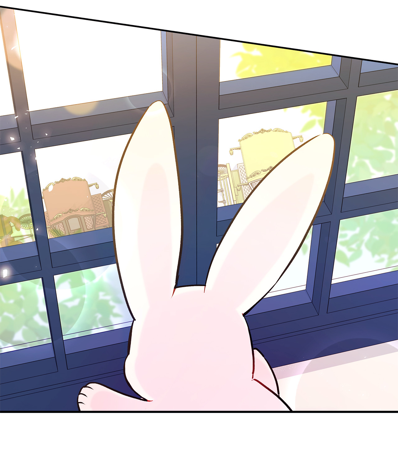 兔子与黑豹的共生关系16 兔与豹的秘密暗号