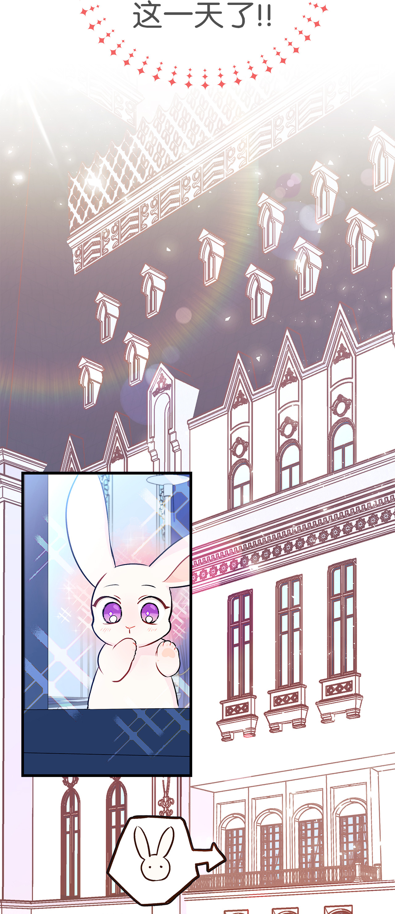 兔子与黑豹的共生关系16 兔与豹的秘密暗号