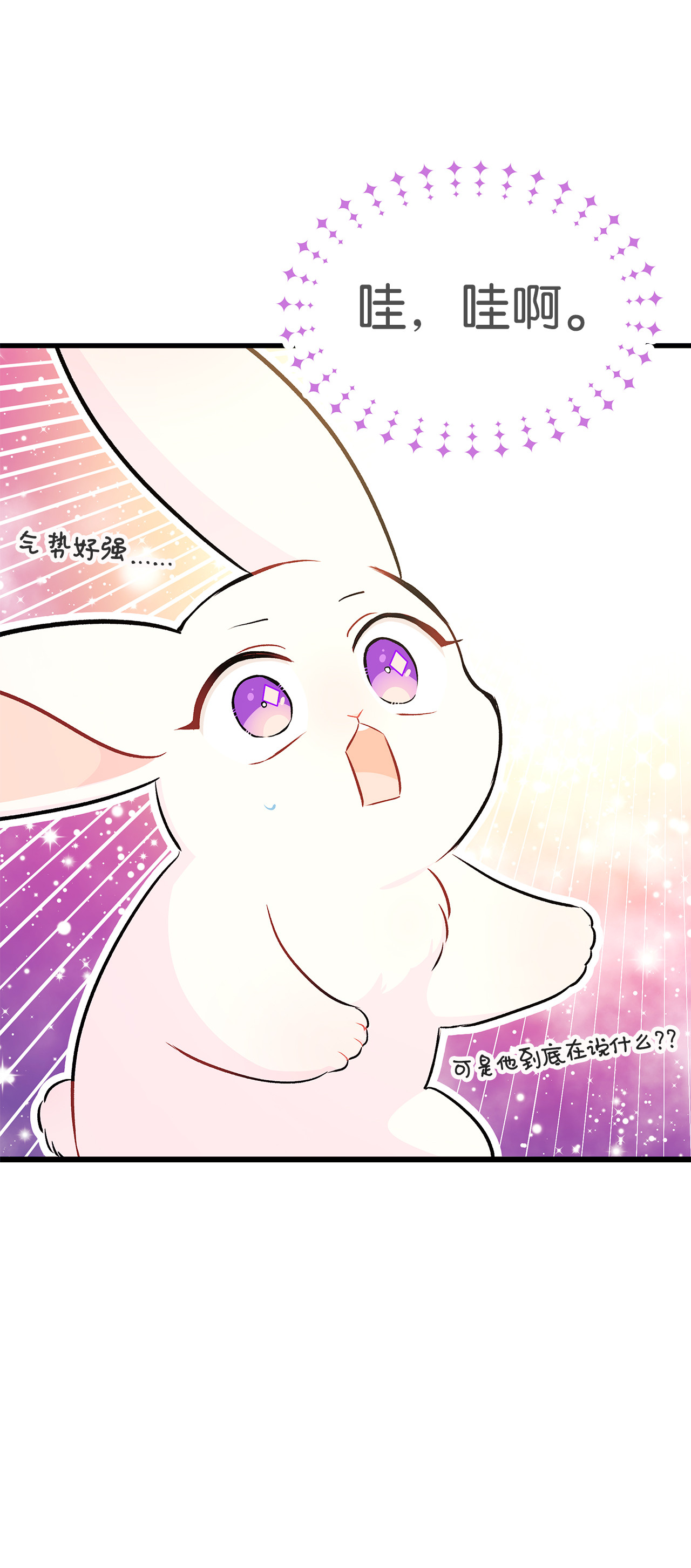 兔子与黑豹的共生关系16 兔与豹的秘密暗号