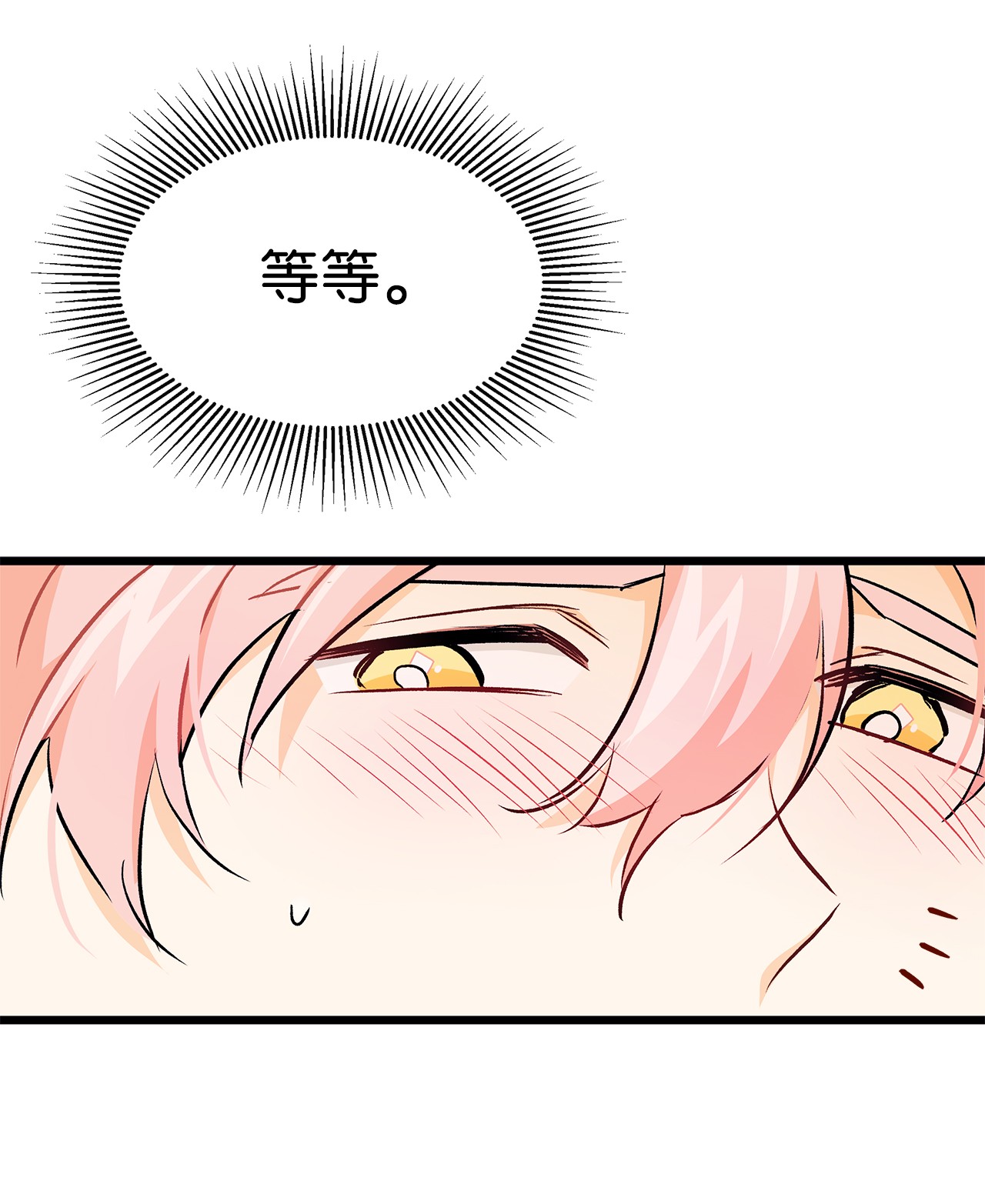 兔子与黑豹的共生关系20 西湖醋豹