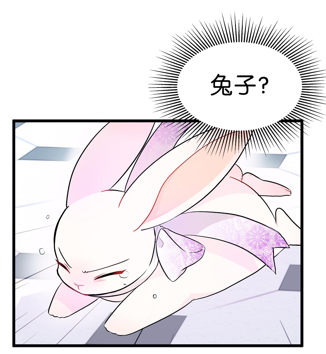 兔子与黑豹的共生关系20 西湖醋豹