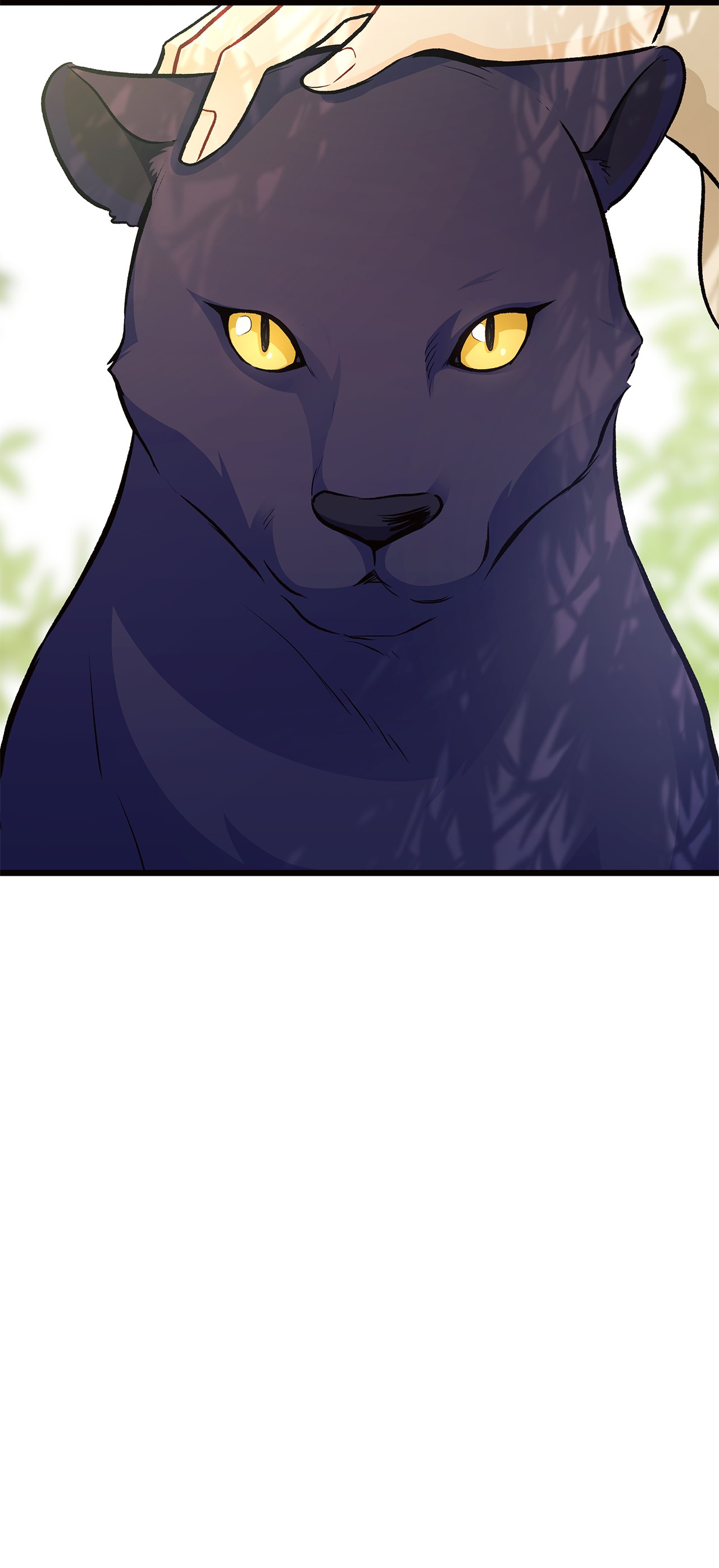 兔子与黑豹的共生关系22 黑豹阿什