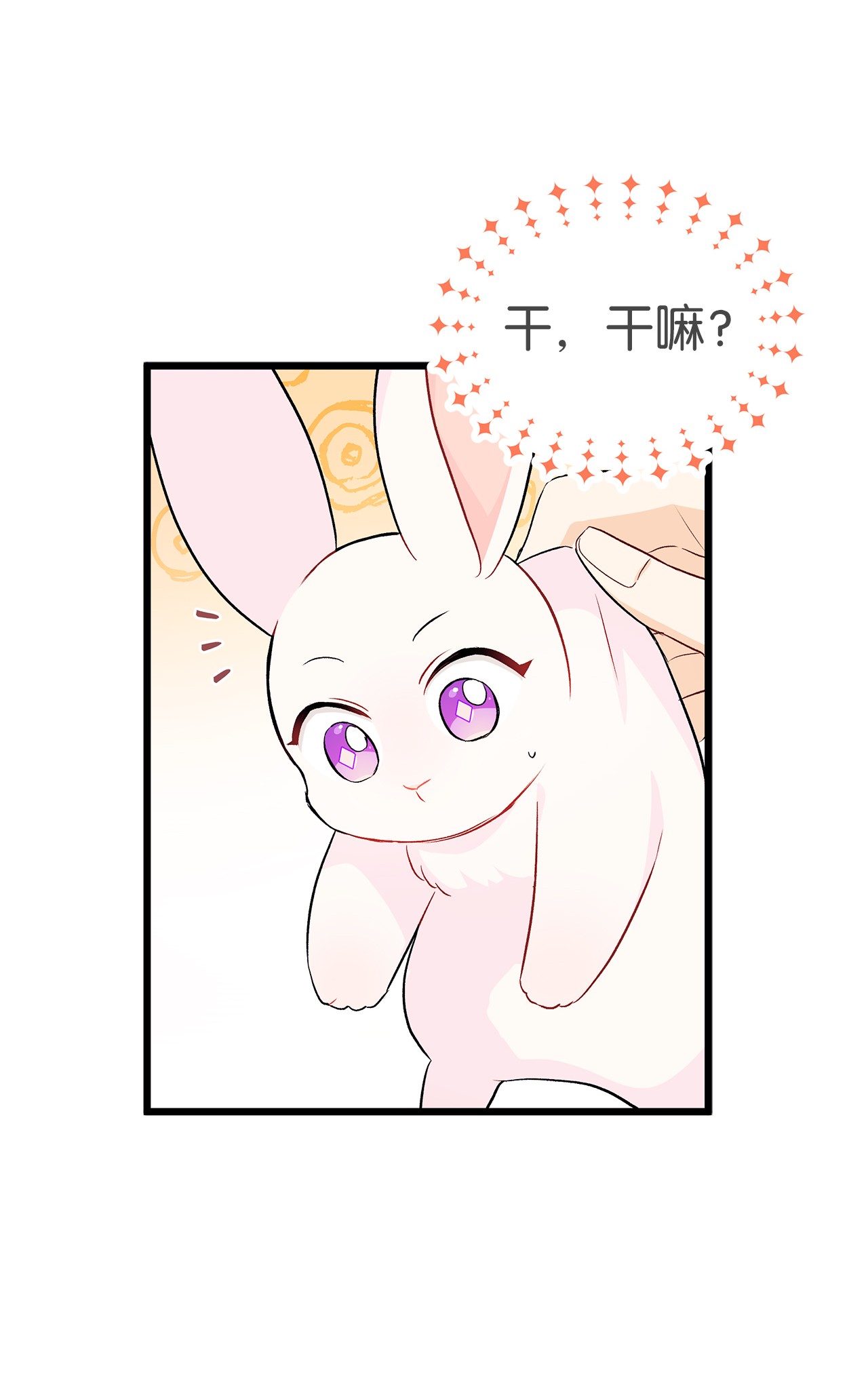 兔子与黑豹的共生关系22 黑豹阿什