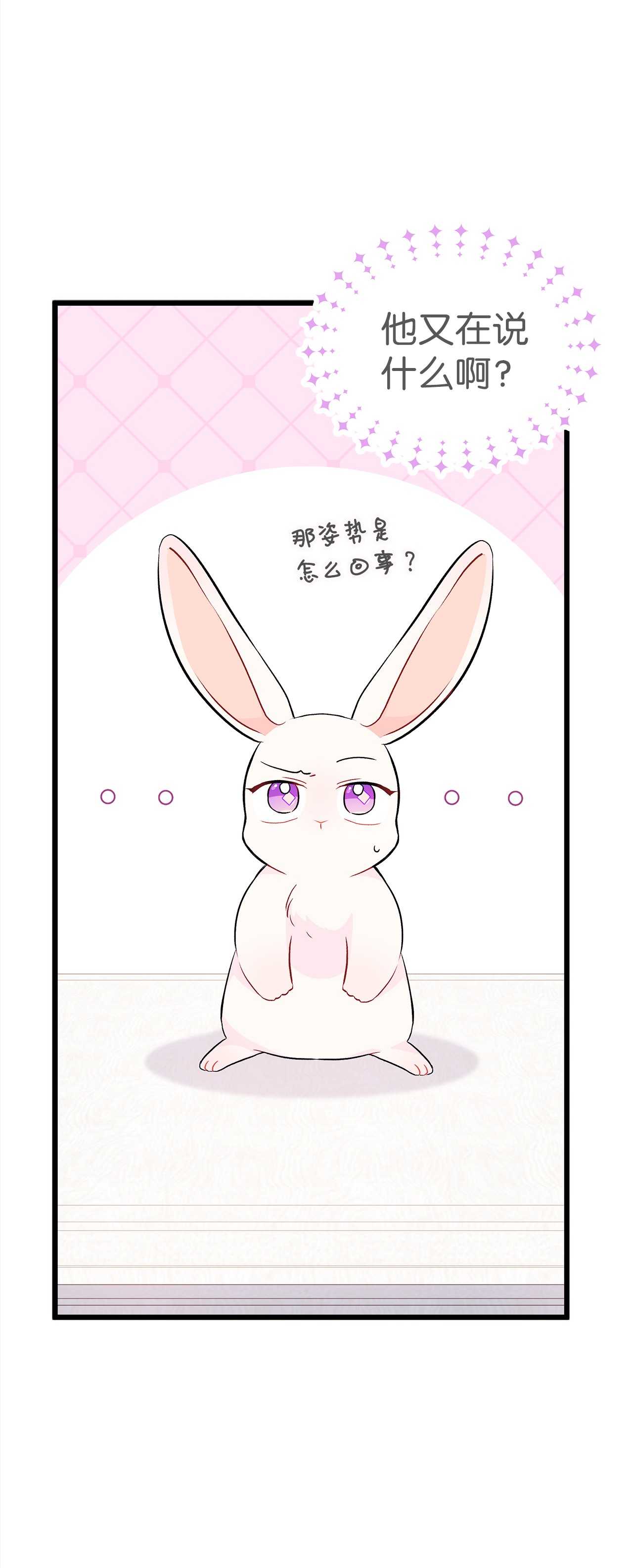 兔子与黑豹的共生关系22 黑豹阿什