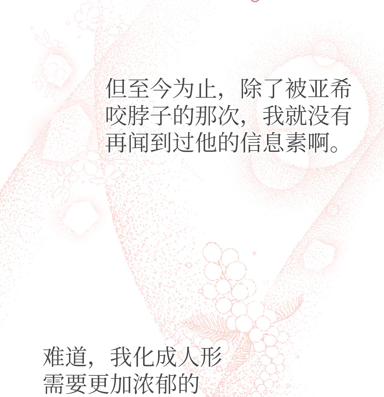 兔子与黑豹的共生关系22 黑豹阿什