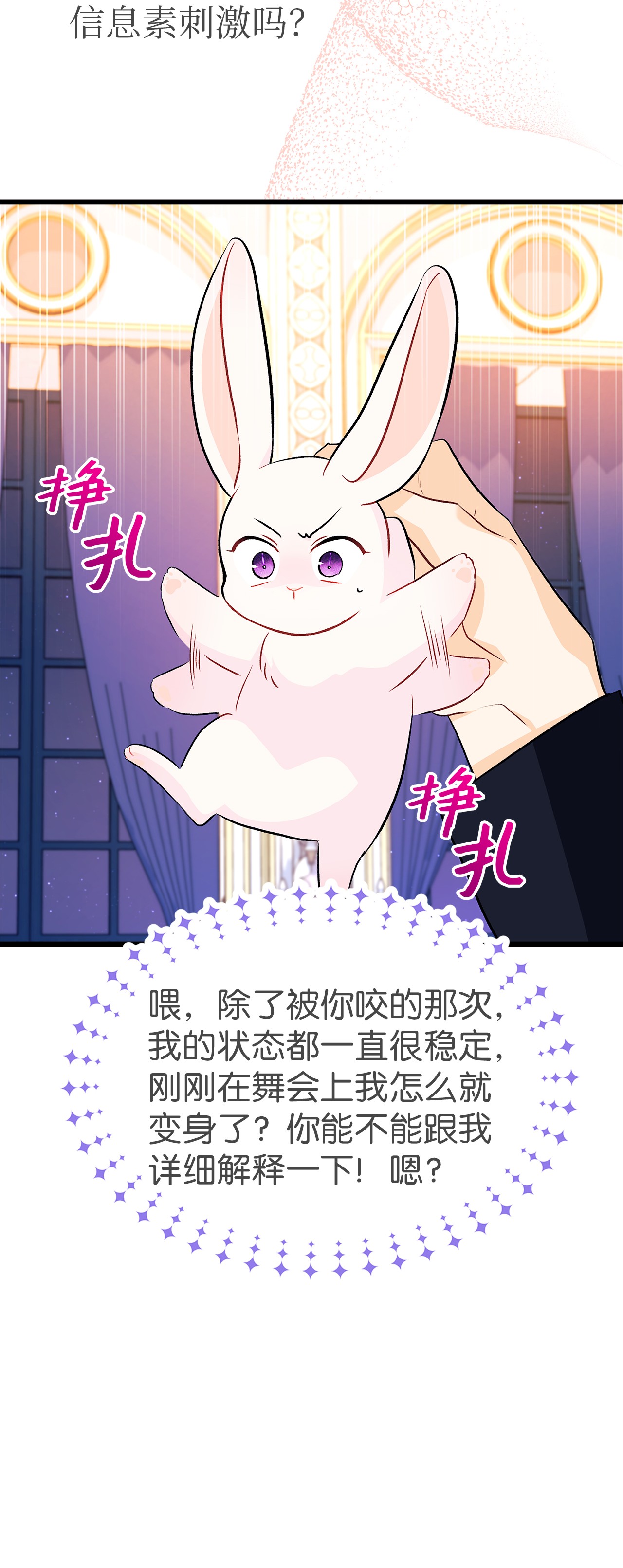 兔子与黑豹的共生关系22 黑豹阿什