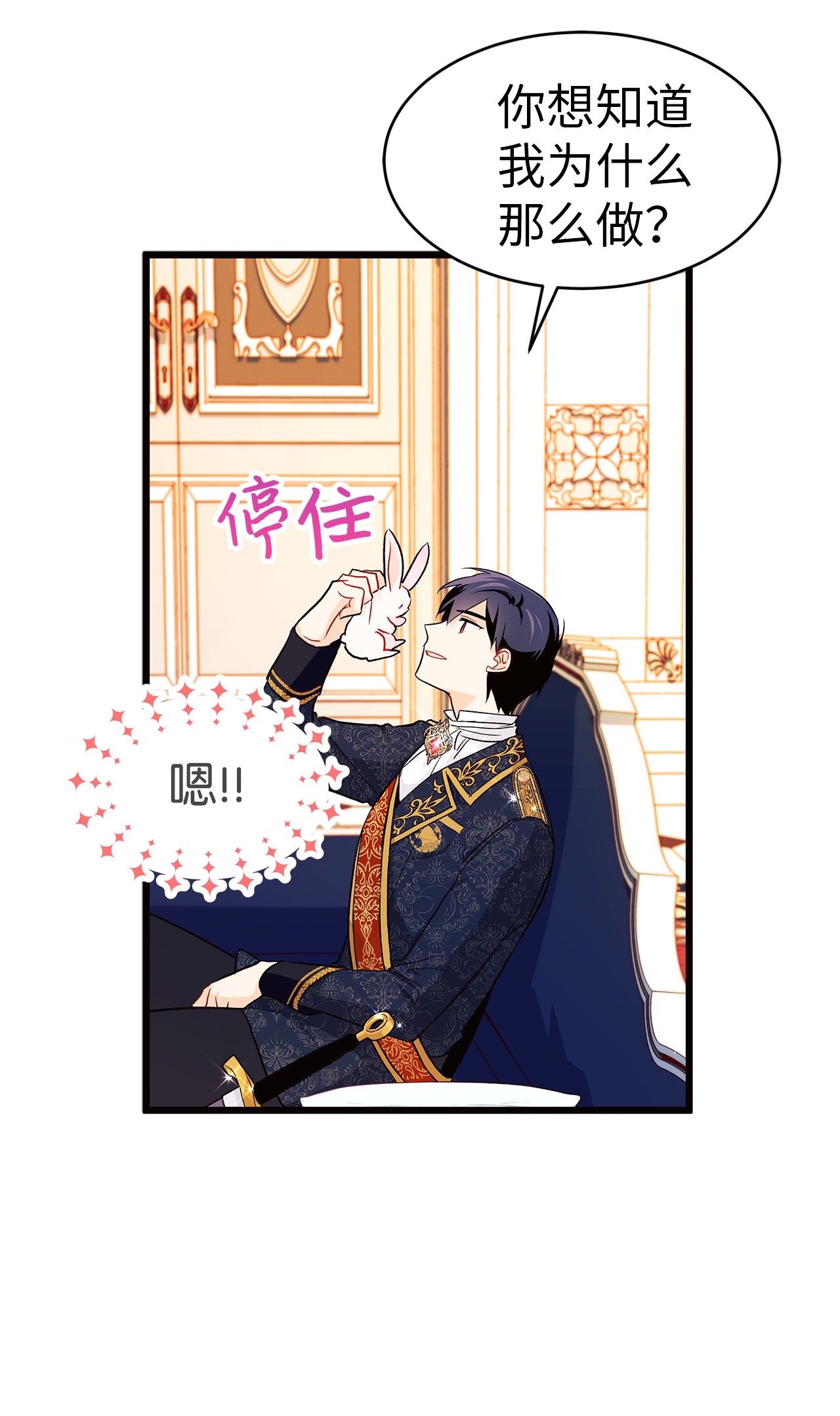 兔子与黑豹的共生关系22 黑豹阿什