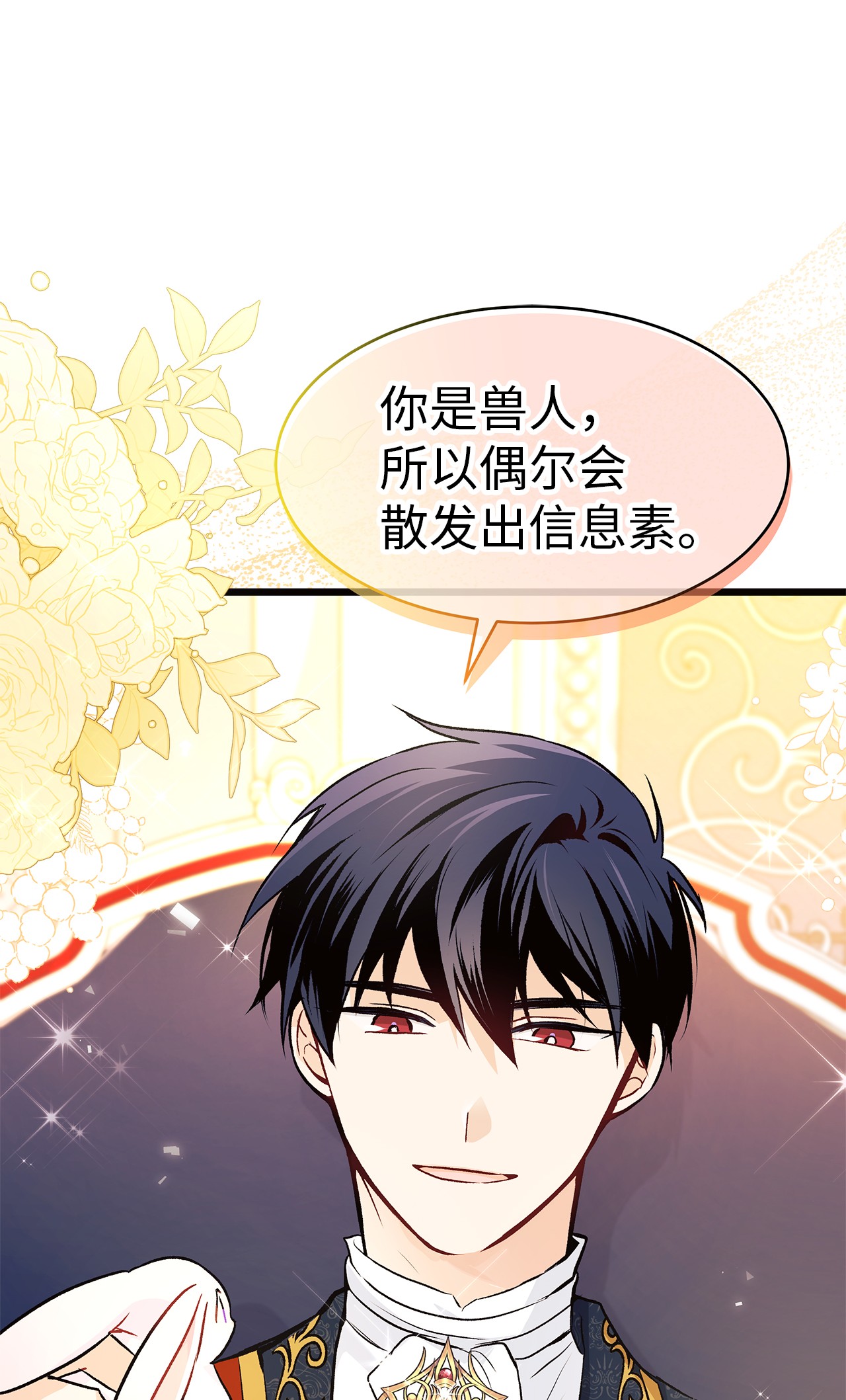 兔子与黑豹的共生关系22 黑豹阿什