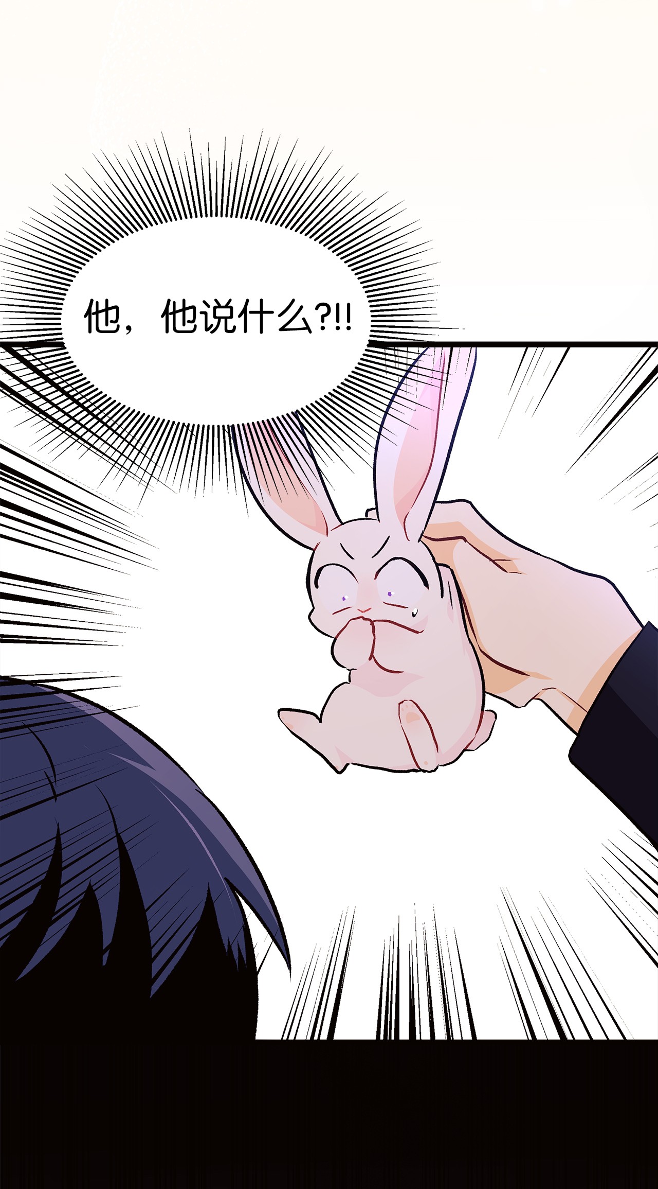 兔子与黑豹的共生关系22 黑豹阿什