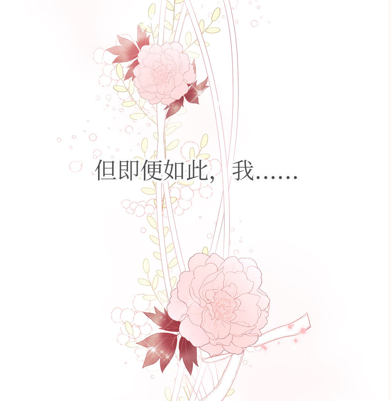 兔子与黑豹的共生关系22 黑豹阿什