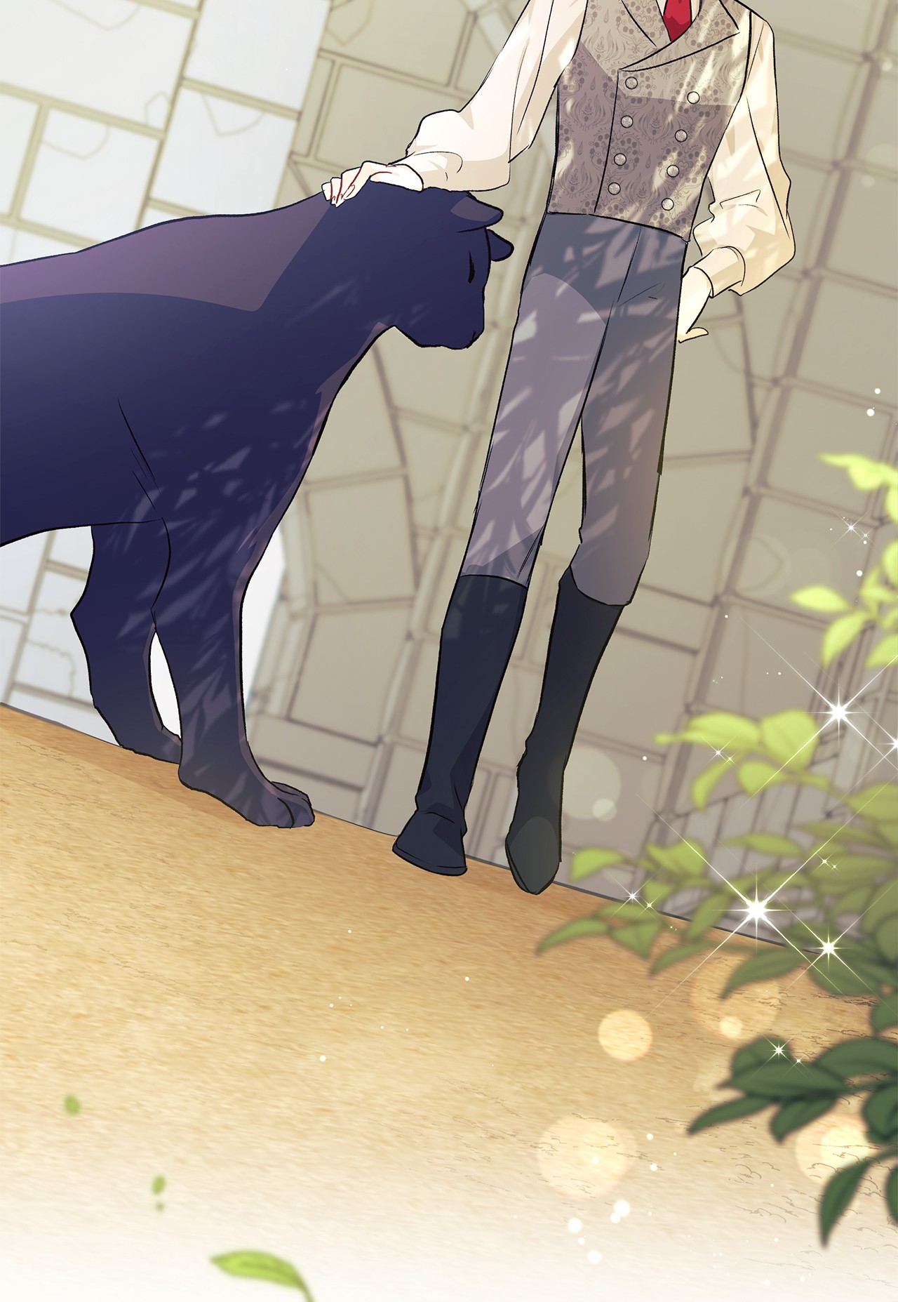 兔子与黑豹的共生关系22 黑豹阿什