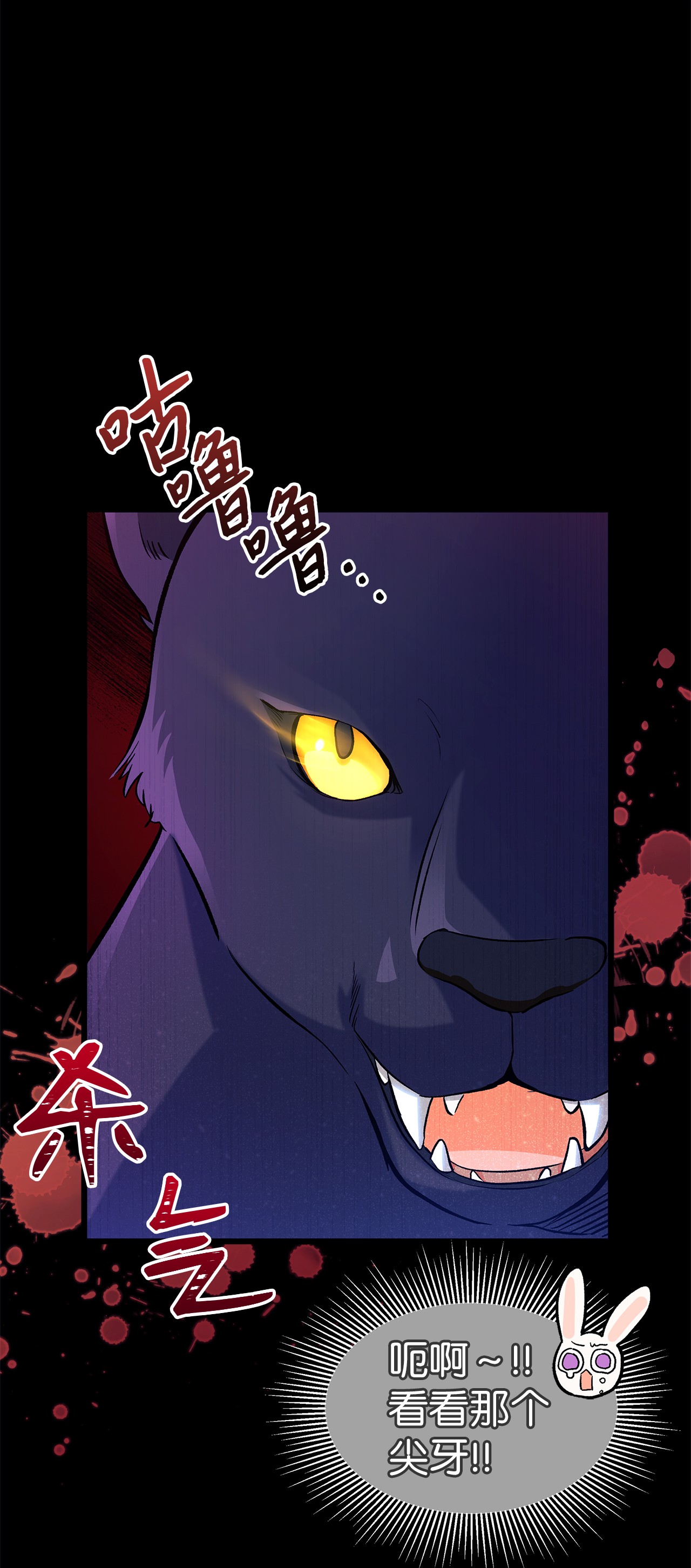 兔子与黑豹的共生关系23 菲菲只能选我