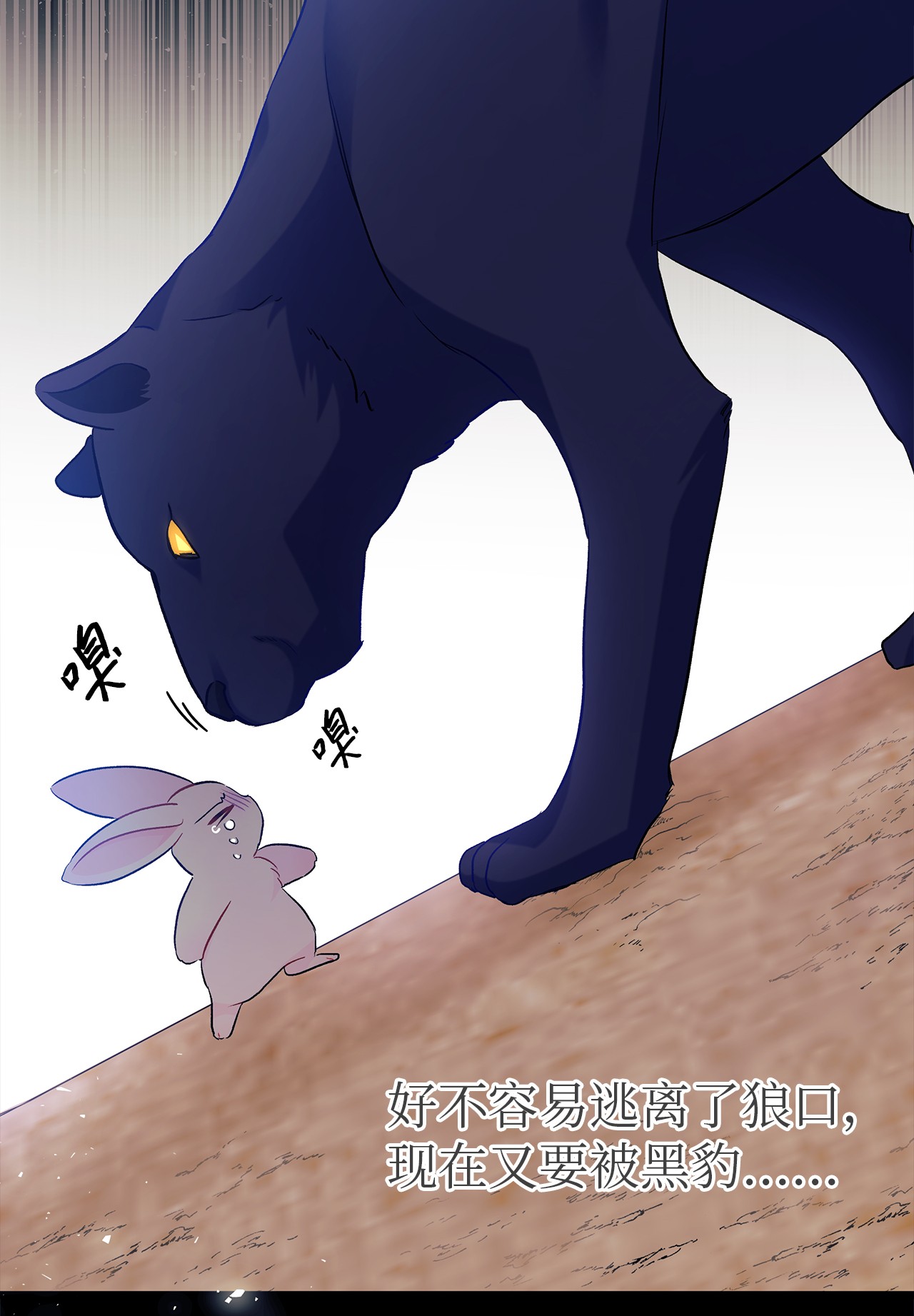 兔子与黑豹的共生关系23 菲菲只能选我