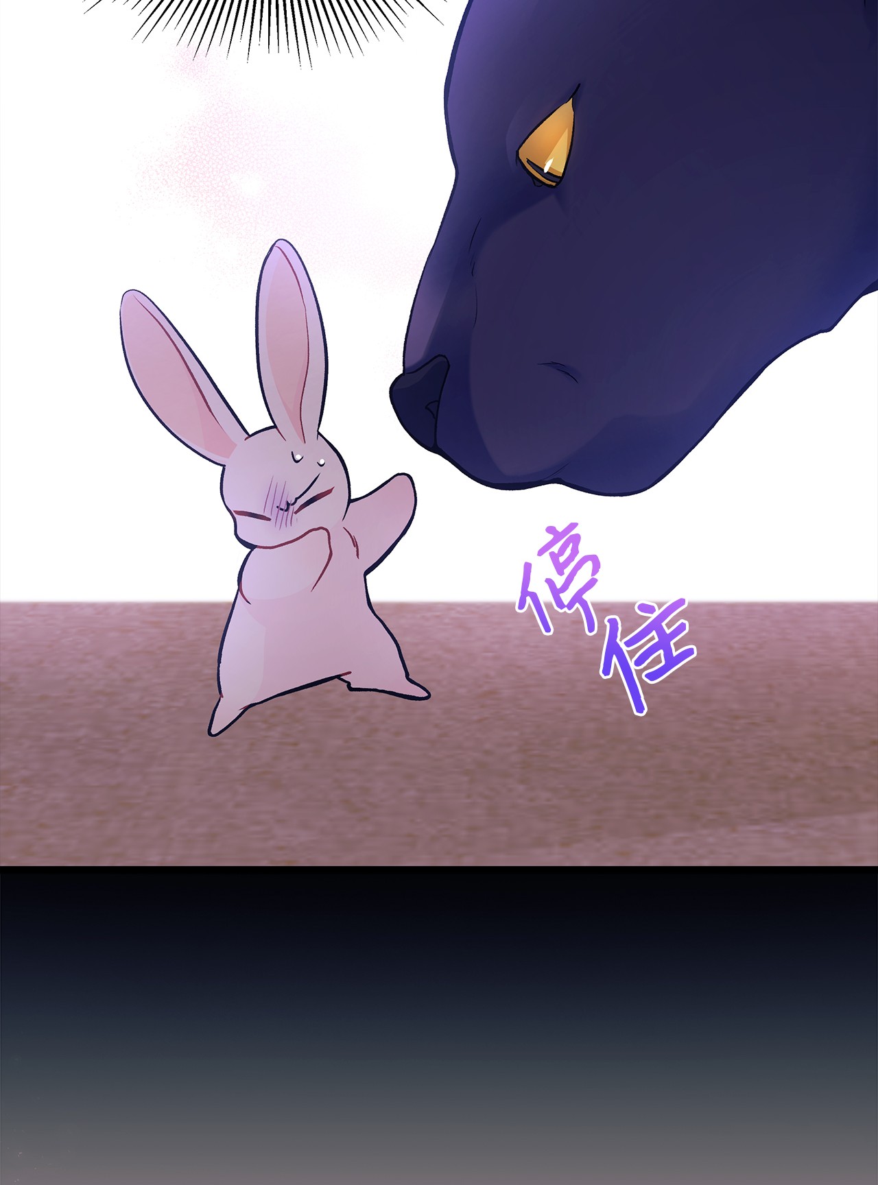 兔子与黑豹的共生关系23 菲菲只能选我