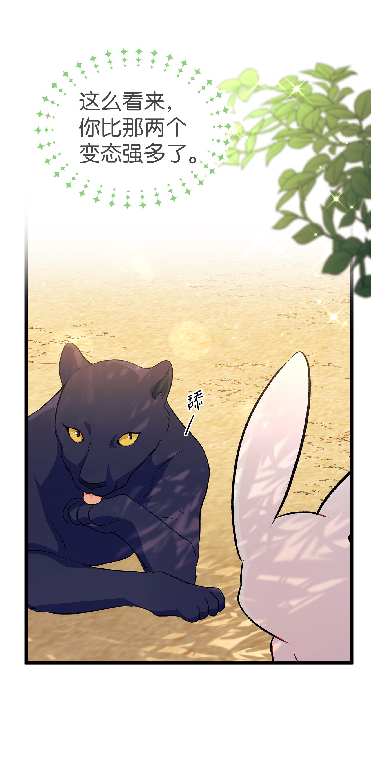 兔子与黑豹的共生关系23 菲菲只能选我