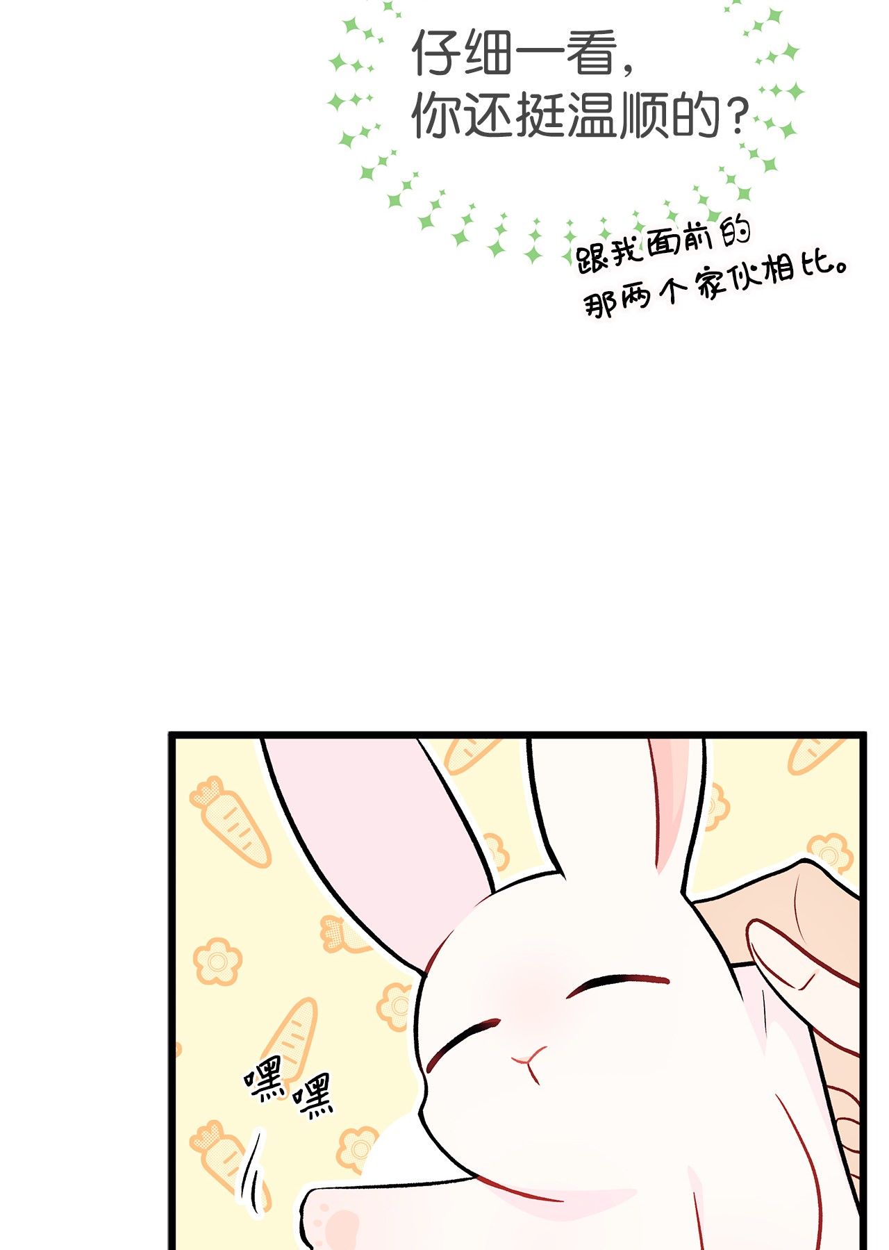 兔子与黑豹的共生关系23 菲菲只能选我